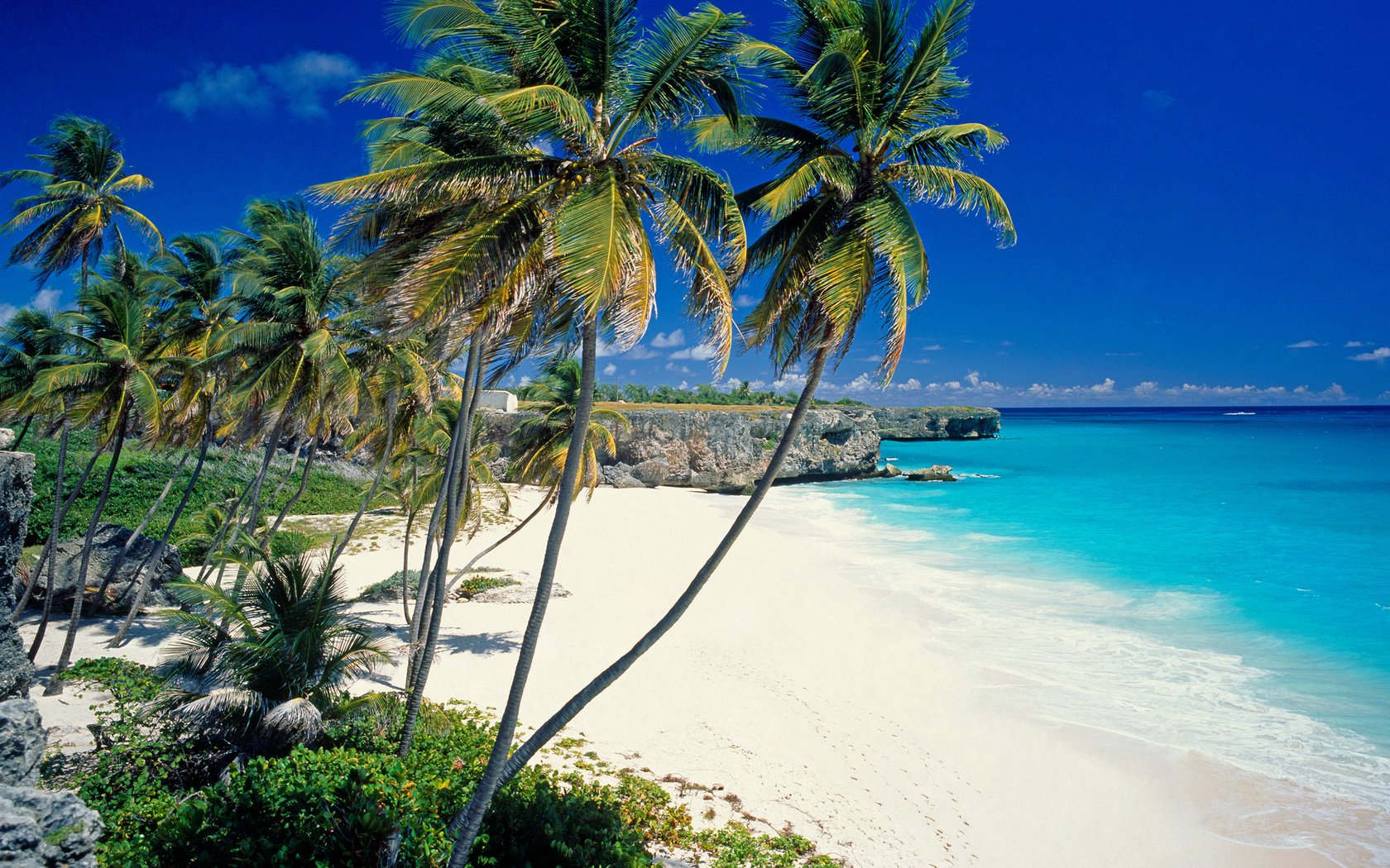 Обои пляж, пальмы, тропики, beach, palm trees, tropics разрешение 2560x1920 Загрузить