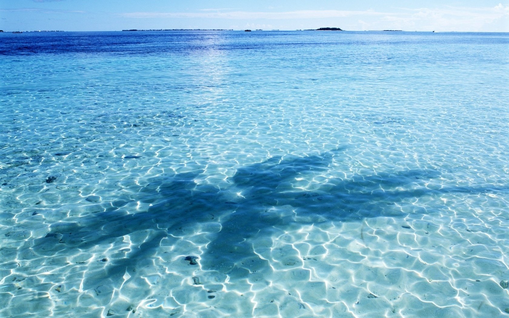 Обои небо, вода, отражение, тень, океан, пальма, мальдивы, the sky, water, reflection, shadow, the ocean, palma, the maldives разрешение 1920x1200 Загрузить