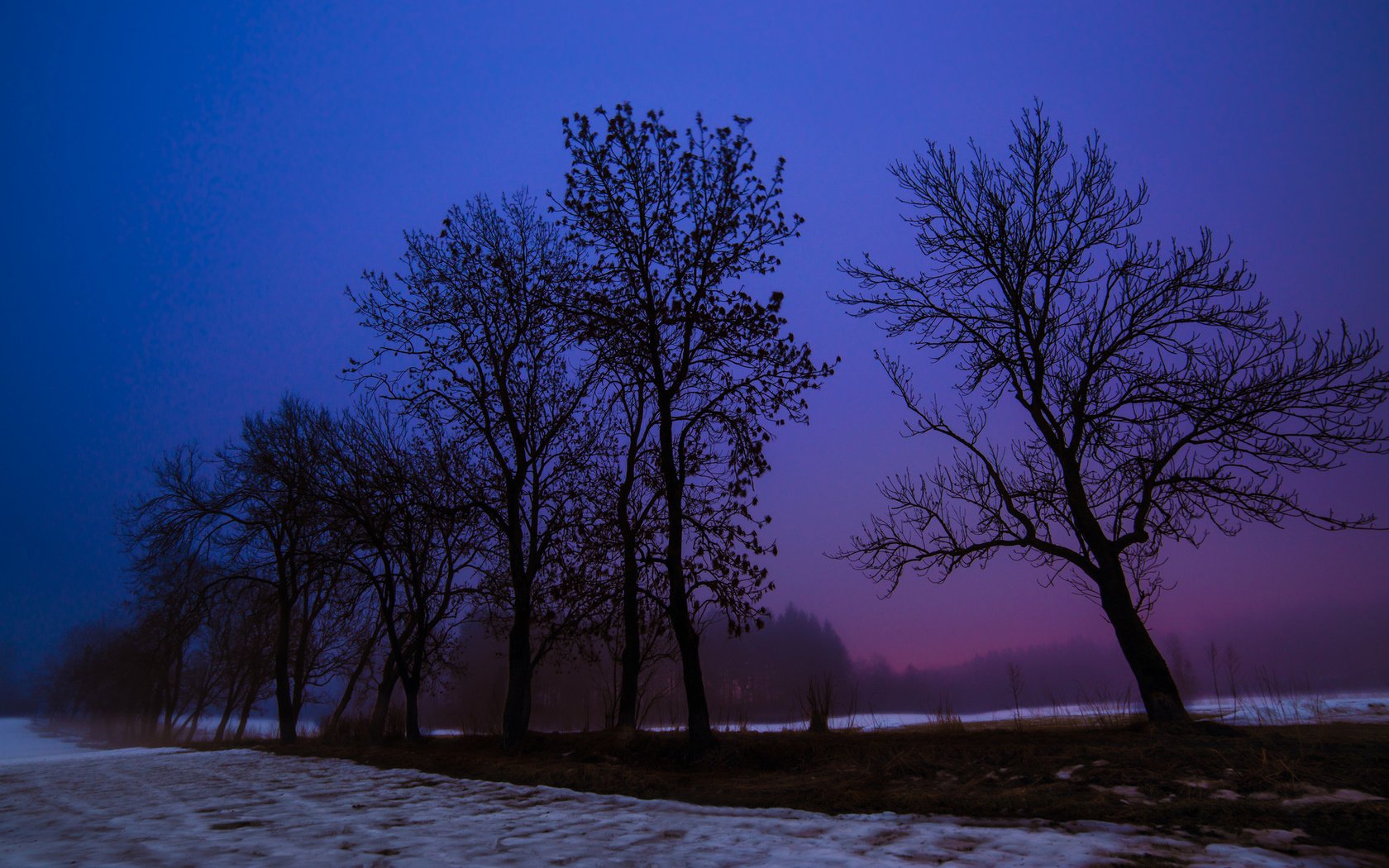 Обои ночь, деревья, снег, зима, пейзаж, поле, night, trees, snow, winter, landscape, field разрешение 2048x1149 Загрузить