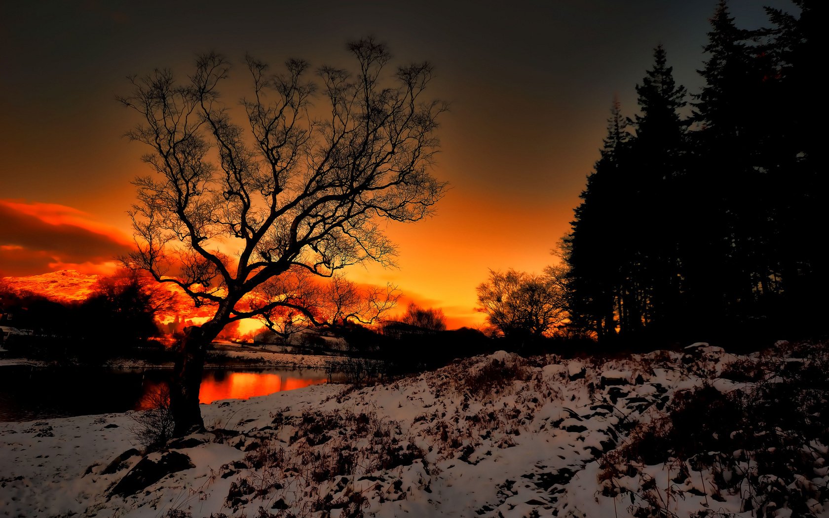 Обои деревья, сумерки, река, снег, природа, закат, зима, пейзаж, свечение, trees, twilight, river, snow, nature, sunset, winter, landscape, glow разрешение 2048x1356 Загрузить