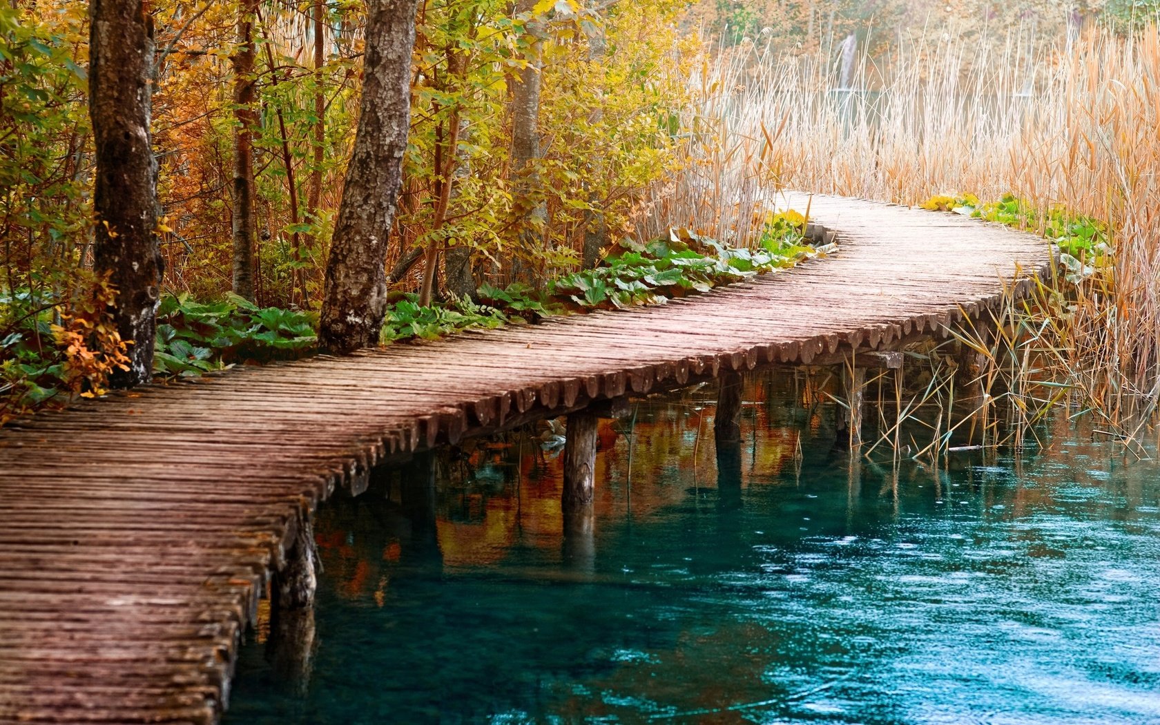 Обои дорога, деревья, вода, река, мост, осень, камыш, деревянный мост, road, trees, water, river, bridge, autumn, reed, wooden bridge разрешение 1920x1200 Загрузить