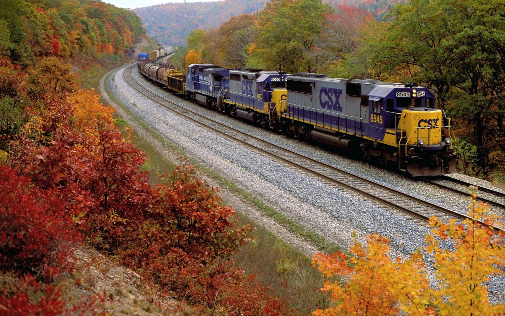 Обои железная дорога, лес, осень, поезд, railroad, forest, autumn, train разрешение 1920x1280 Загрузить