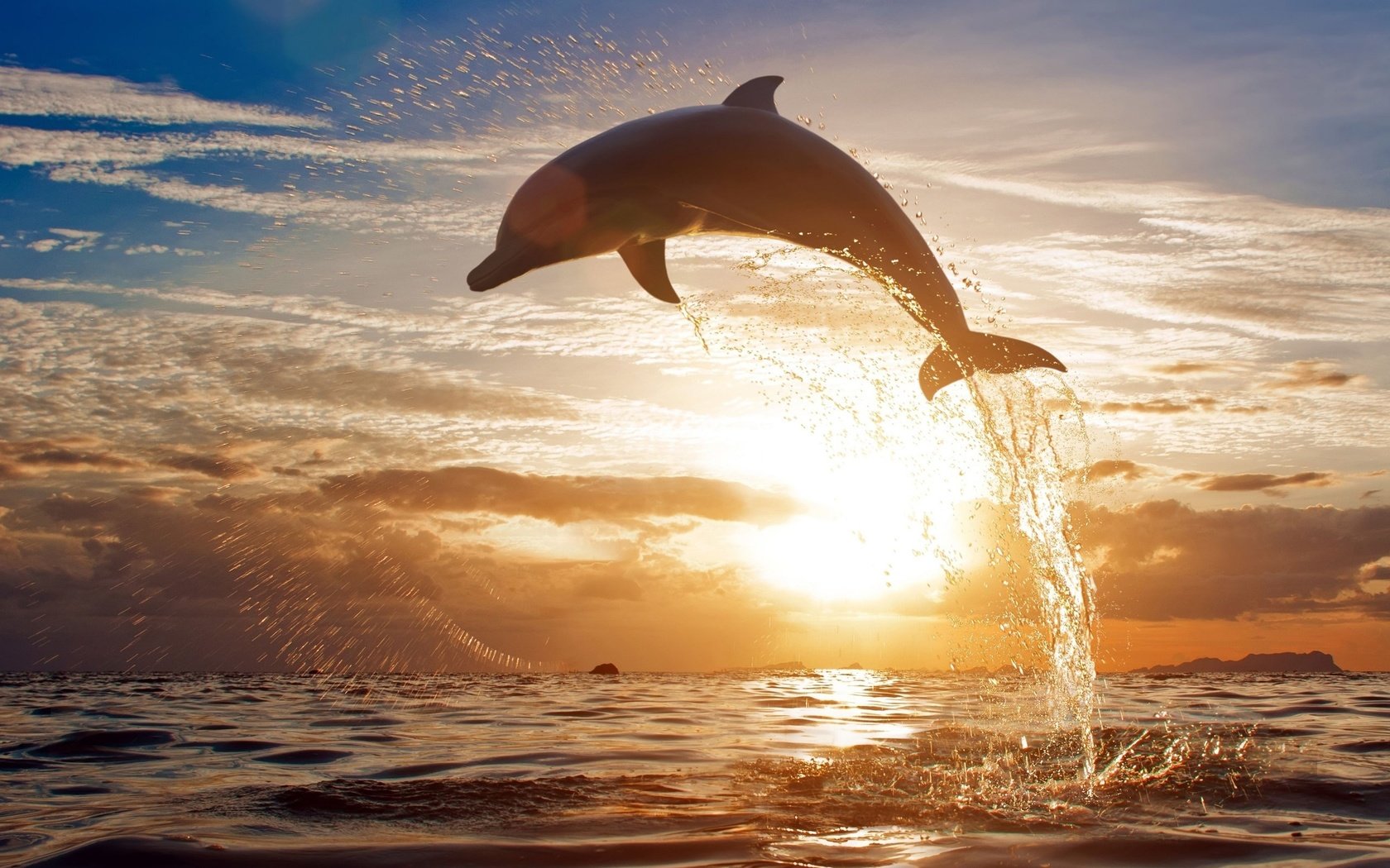 Обои закат, море, брызги, прыжок, дельфин, sunset, sea, squirt, jump, dolphin разрешение 2560x1612 Загрузить