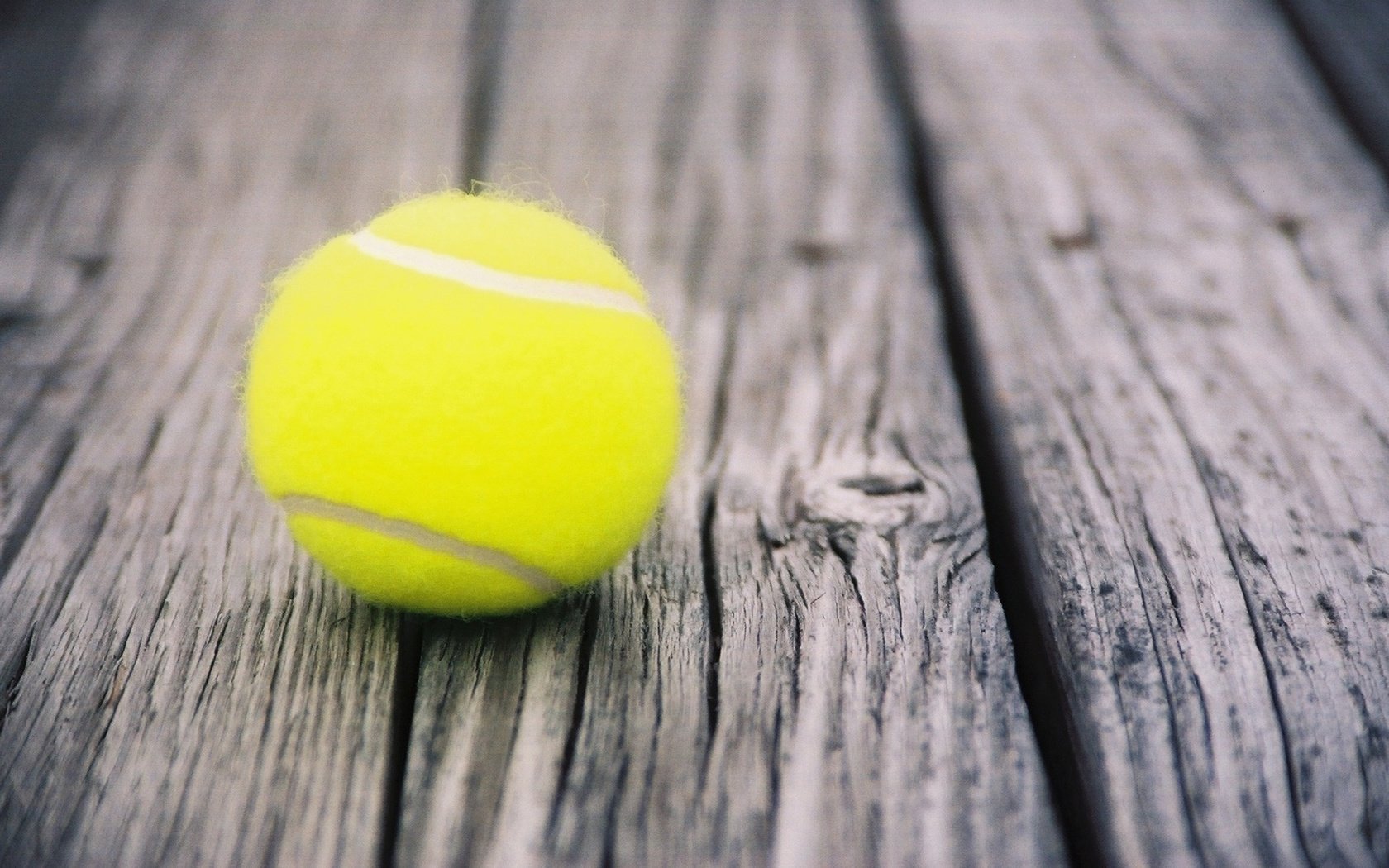 Обои тенис, спорт, мяч, теннис, бал, doski, myach, tennis, sport, the ball, ball разрешение 2560x1600 Загрузить
