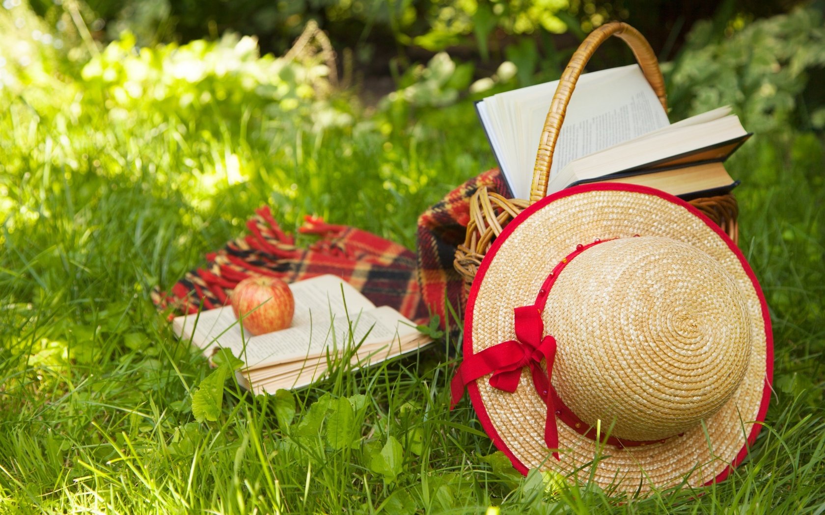 Обои трава, книги, корзина, яблоко, плед, шляпа, пикник, grass, books, basket, apple, plaid, hat, picnic разрешение 2880x1800 Загрузить