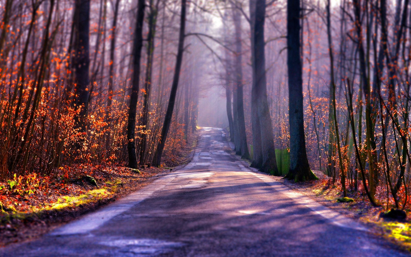Обои свет, дорога, деревья, туман, осень, light, road, trees, fog, autumn разрешение 2048x1356 Загрузить