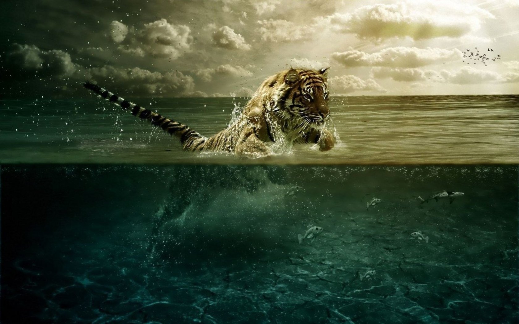 Обои тигр, вода, прыжок, движение, tiger, water, jump, movement разрешение 2000x1250 Загрузить