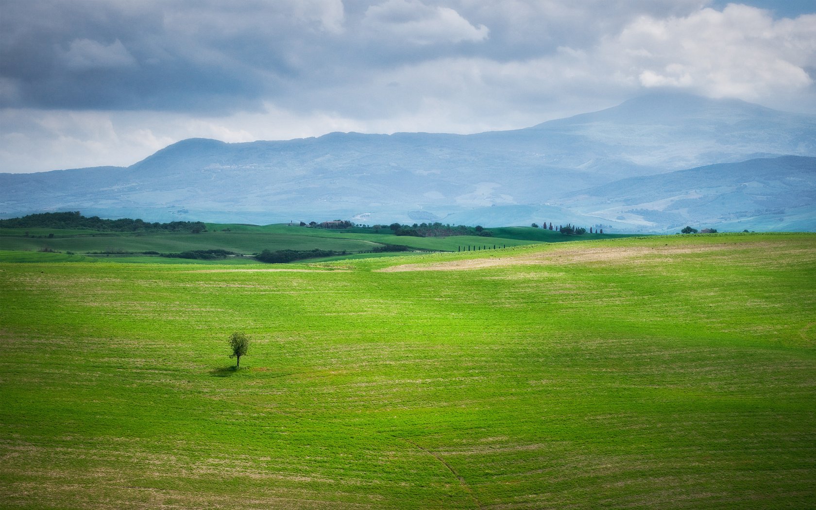 Обои небо, трава, природа, дерево, зелень, пейзаж, поле, the sky, grass, nature, tree, greens, landscape, field разрешение 1920x1200 Загрузить