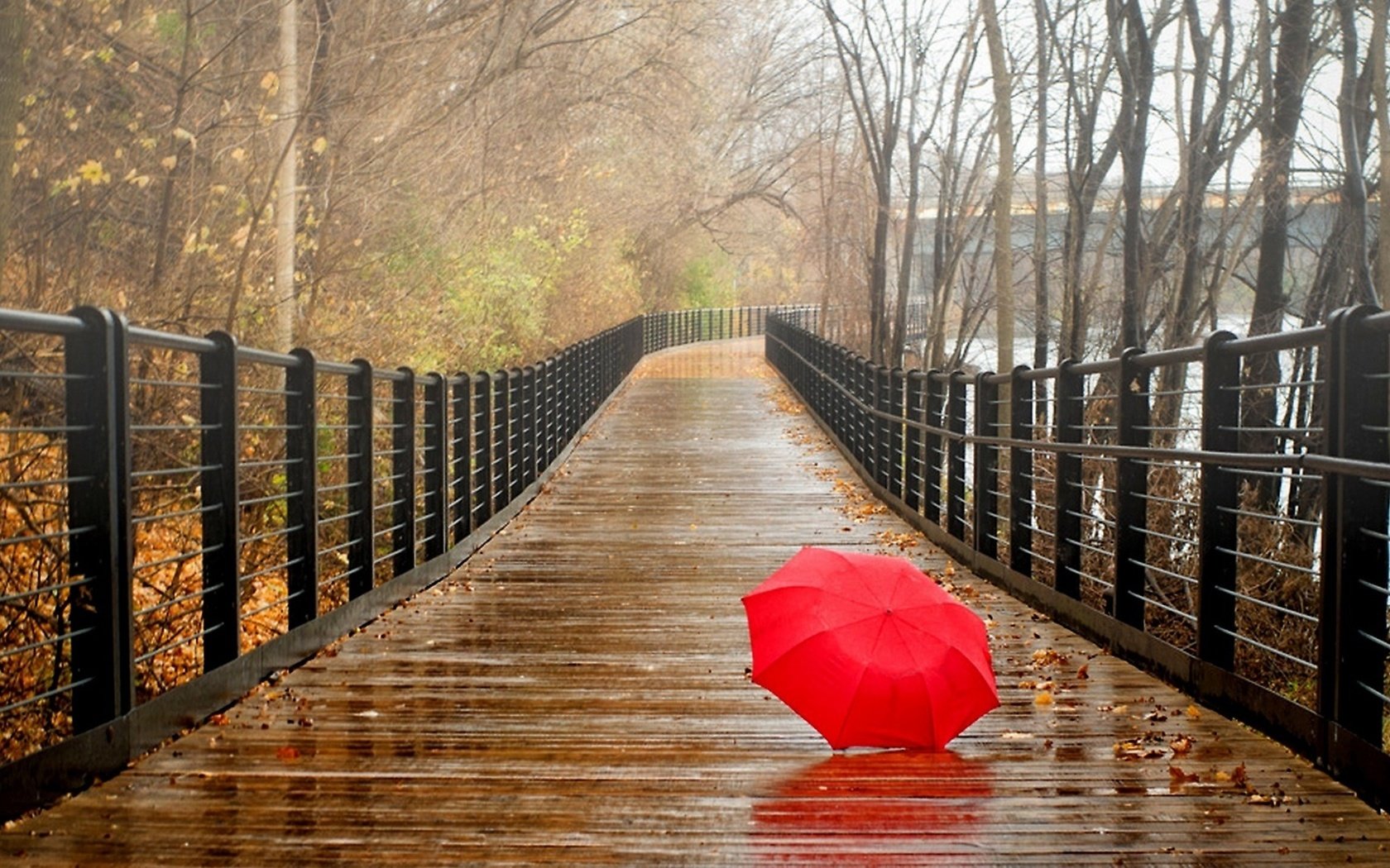 Обои деревья, прогулка, река, зонтик, природа, зонтик на мокром мосту, листья, парк, мост, осень, дождь, trees, walk, river, umbrella, nature, umbrella on a wet bridge, leaves, park, bridge, autumn, rain разрешение 2560x1440 Загрузить