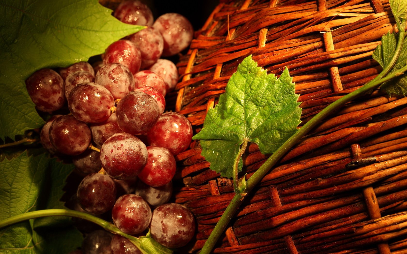 Обои листья, виноград, корзина, ягоды, лоза, корзинка, виноград красный, leaves, grapes, basket, berries, vine, grape red разрешение 2560x1600 Загрузить