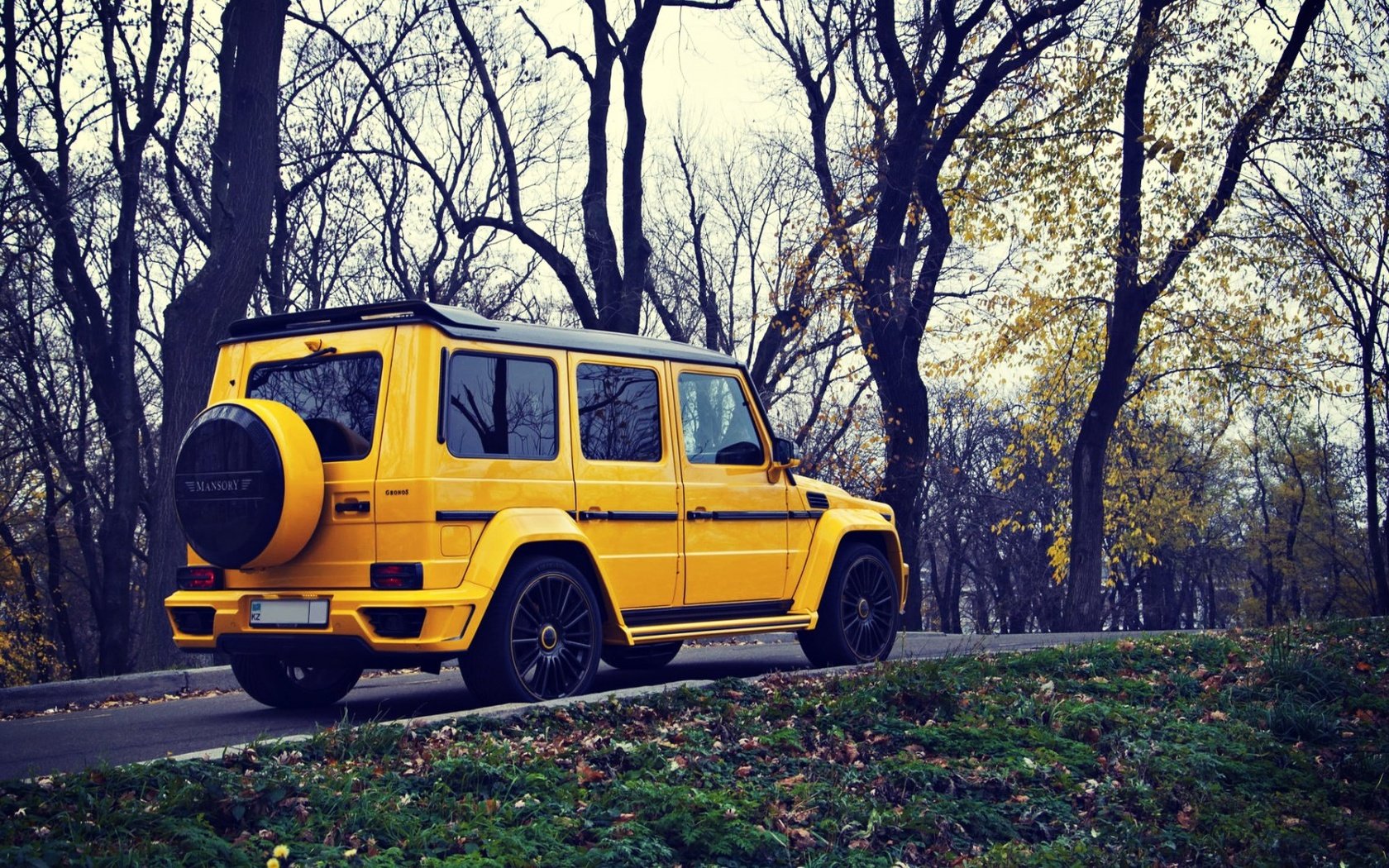 Обои желтый, осень, внедорожник, мерседес, мерседес бенц, g63, mansory gronos, yellow, autumn, suv, mercedes, mercedes benz разрешение 1920x1080 Загрузить