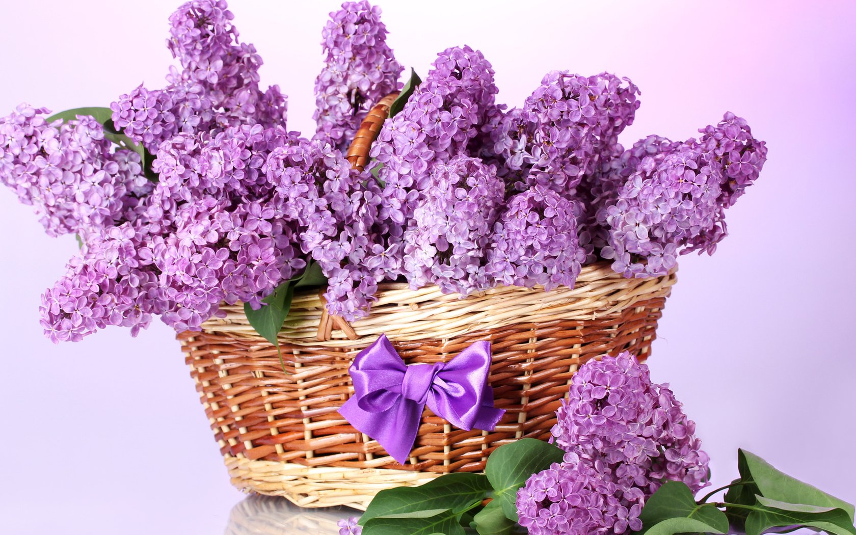 Обои цветы, листья, ветки, весна, корзина, сирень, бант, flowers, leaves, branches, spring, basket, lilac, bow разрешение 1920x1080 Загрузить