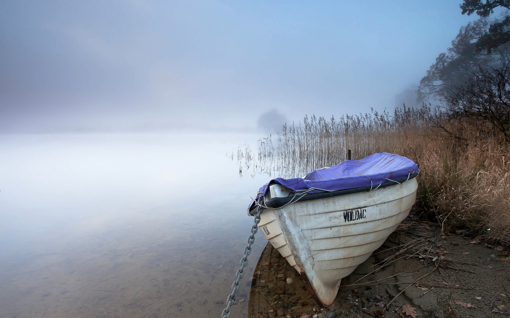 Обои озеро, туман, лодка, камыш, lake, fog, boat, reed разрешение 1920x1200 Загрузить