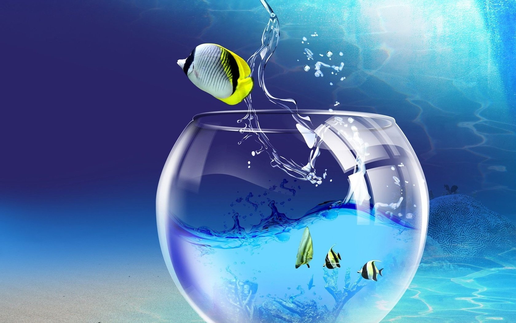 Обои windows 7 wallpaper fish. разрешение 1920x1440 Загрузить