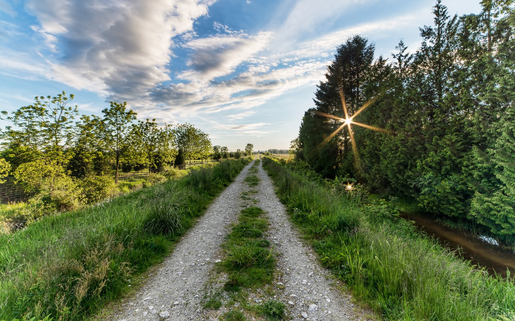 Обои дорога, деревья, солнце, пейзаж, road, trees, the sun, landscape разрешение 2374x1500 Загрузить