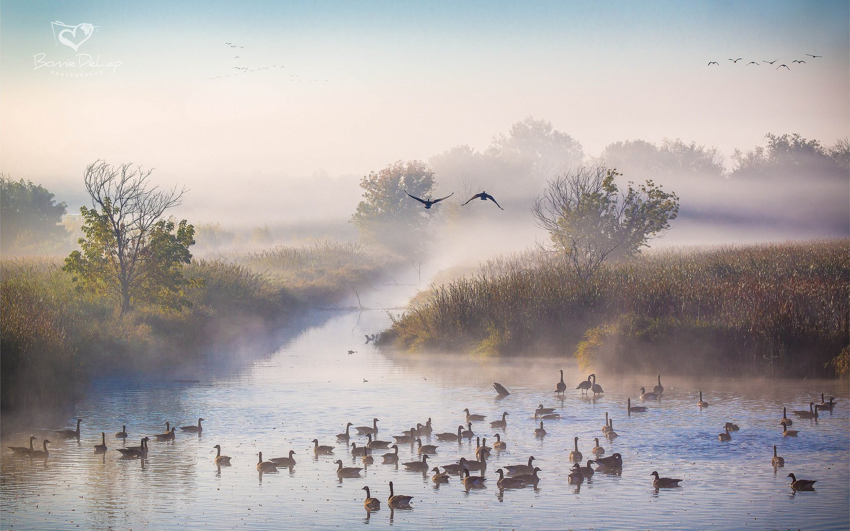 Обои река, утро, туман, осень, утки, октябрь, river, morning, fog, autumn, duck, october разрешение 1920x1200 Загрузить