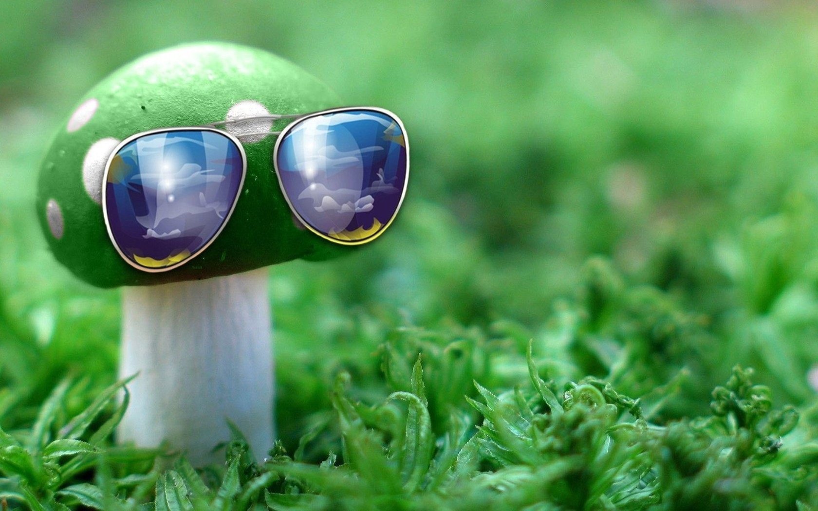 Обои природа, зелёный, макро, очки, гриб, nature, green, macro, glasses, mushroom разрешение 1932x1208 Загрузить