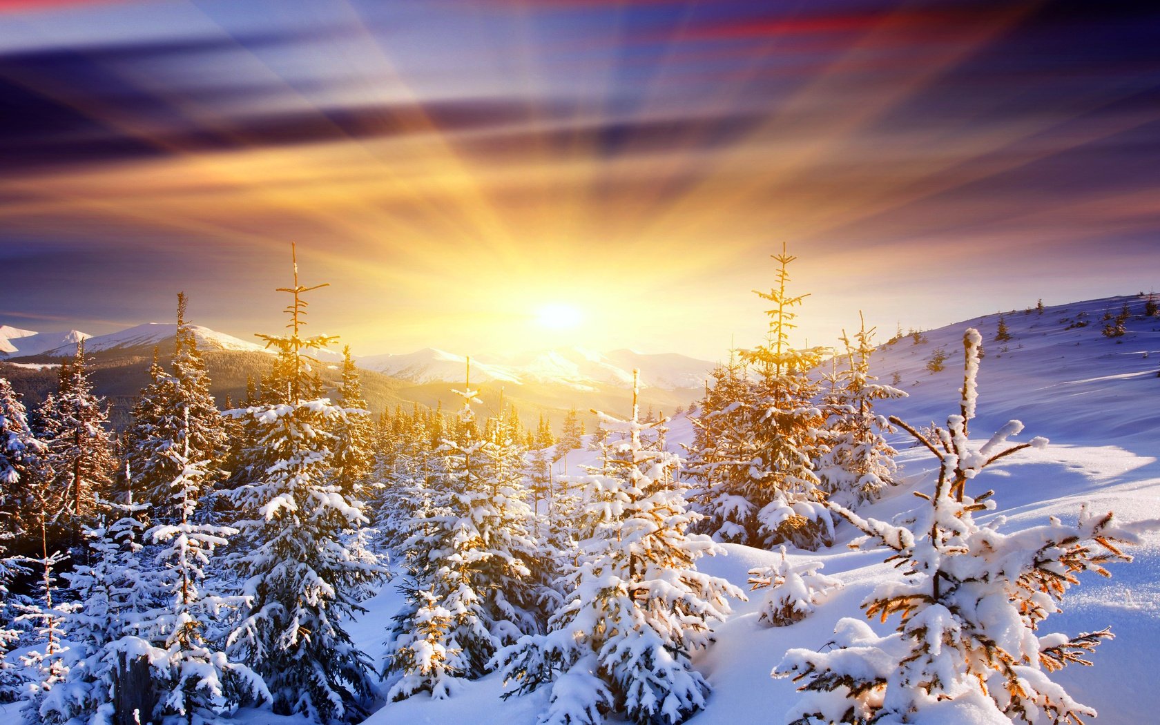 Обои восход, солнце, снег, лес, зима, sunrise, the sun, snow, forest, winter разрешение 2560x1600 Загрузить