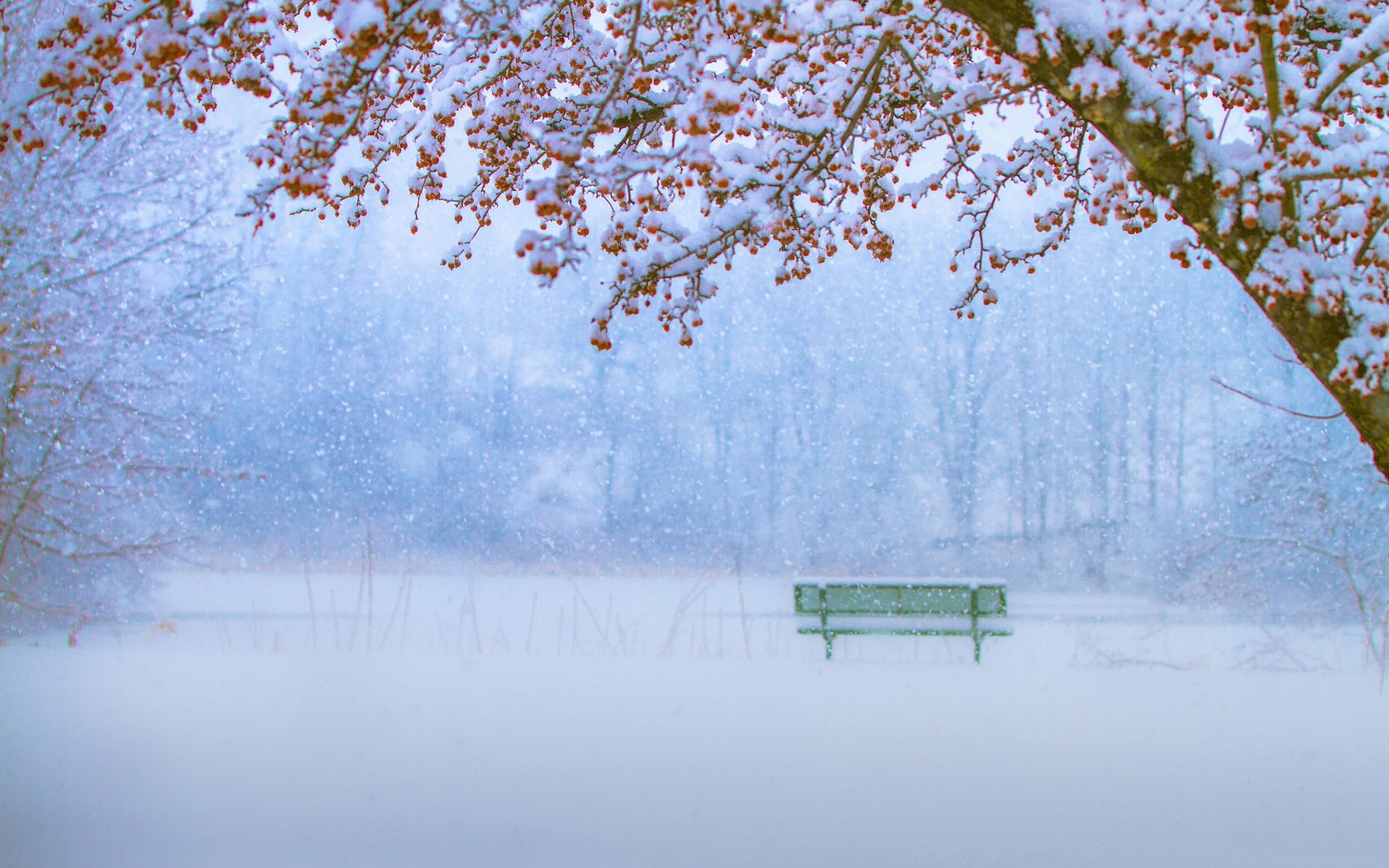 Обои зима, парк, скамейка, снегопад, winter, park, bench, snowfall разрешение 2010x1337 Загрузить