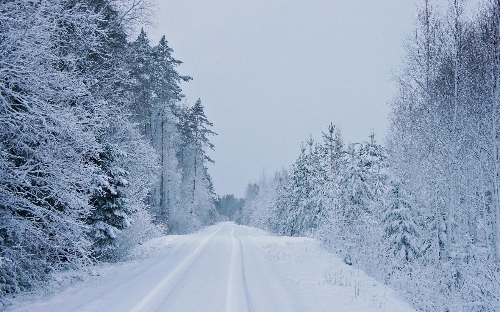 Обои дорога, деревья, зима, road, trees, winter разрешение 1920x1080 Загрузить