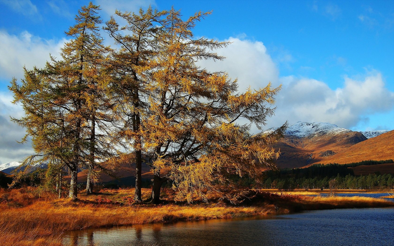 Обои деревья, озеро, пейзаж, осень, trees, lake, landscape, autumn разрешение 1920x1200 Загрузить