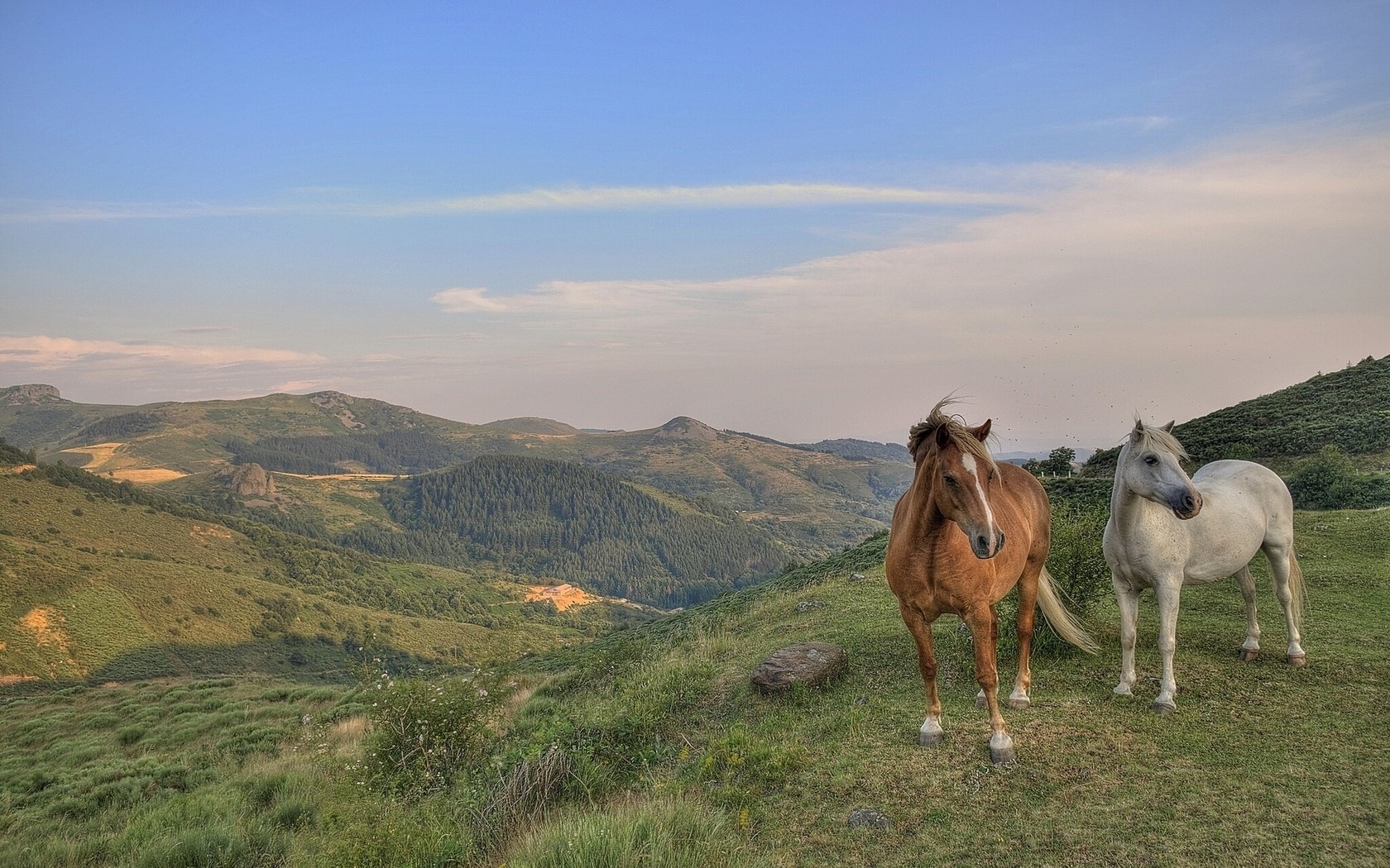 Обои небо, горы, пейзаж, лошади, кони, the sky, mountains, landscape, horse, horses разрешение 1920x1200 Загрузить