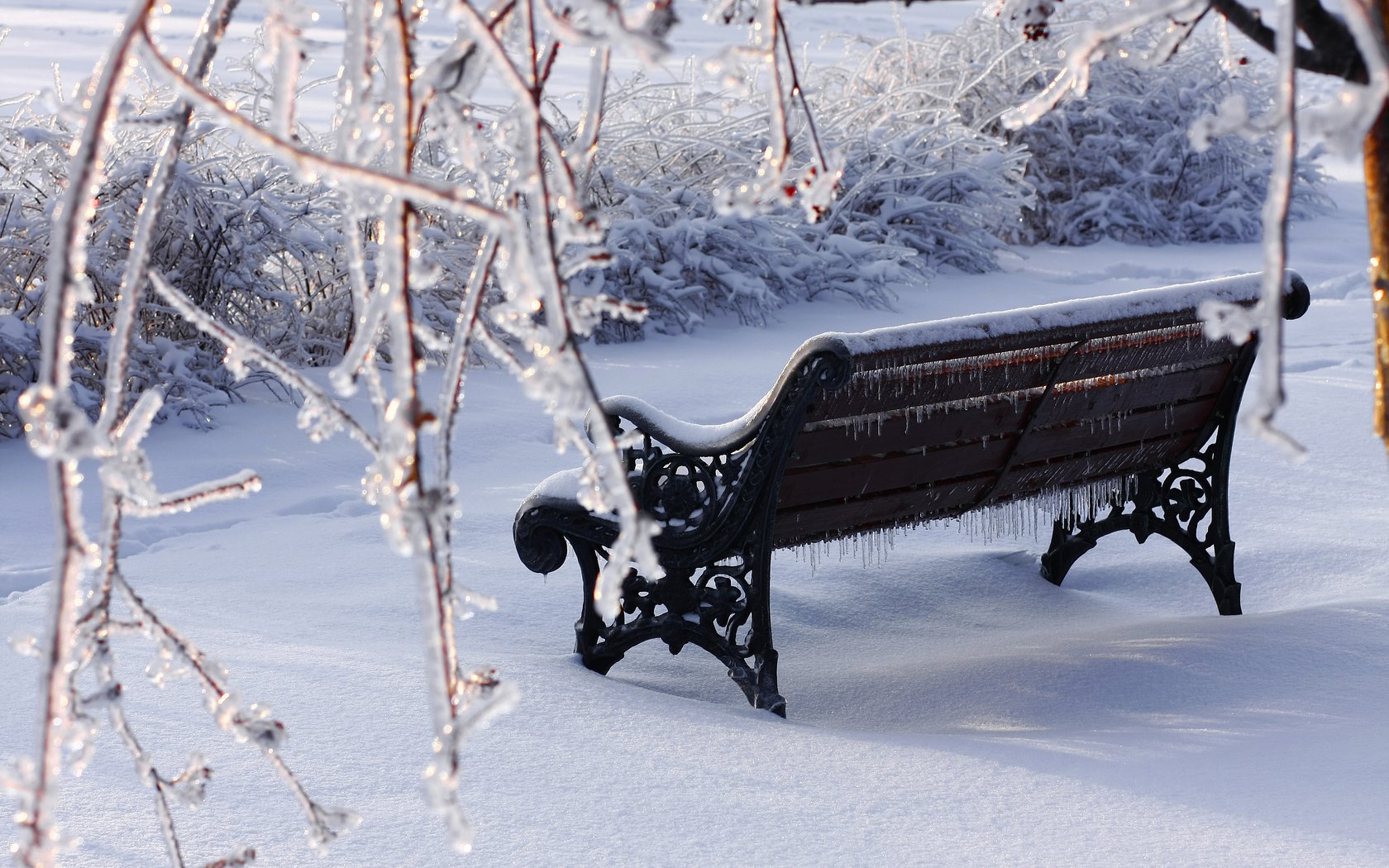 Обои снег, зима, парк, ветки, лёд, скамейка, snow, winter, park, branches, ice, bench разрешение 3888x2592 Загрузить