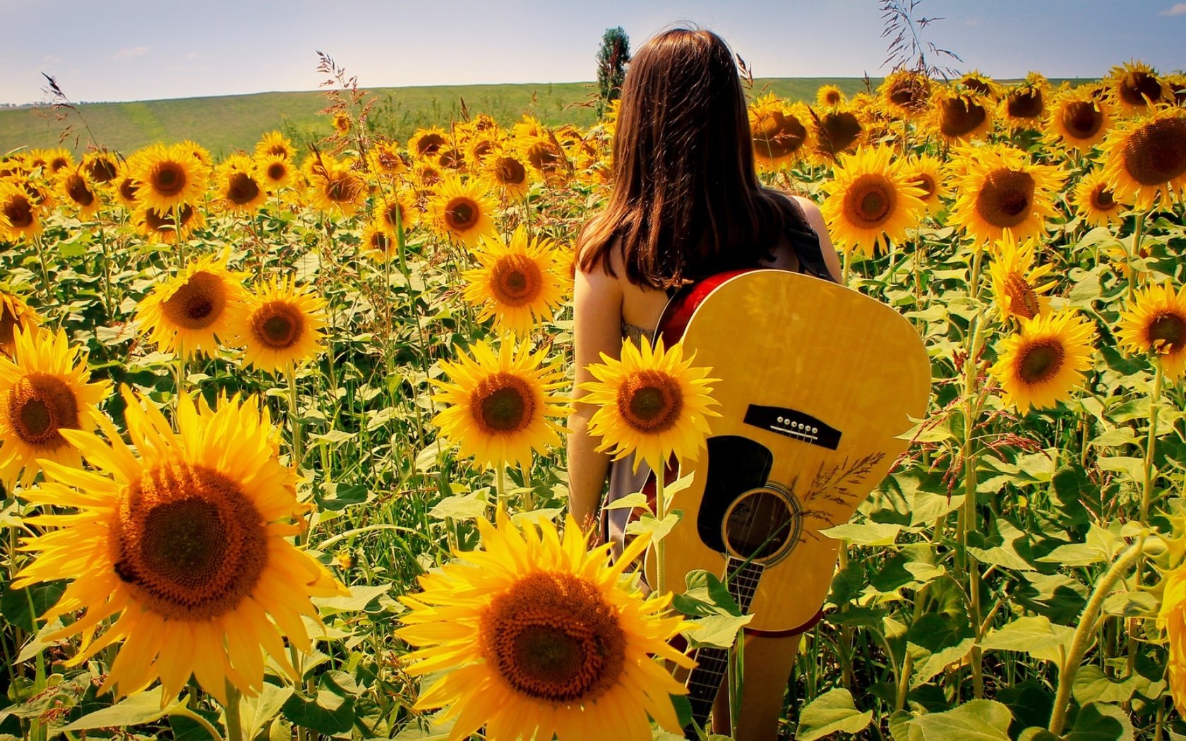 Обои девушка, поле, гитара, лето, подсолнухи, girl, field, guitar, summer, sunflowers разрешение 1920x1080 Загрузить