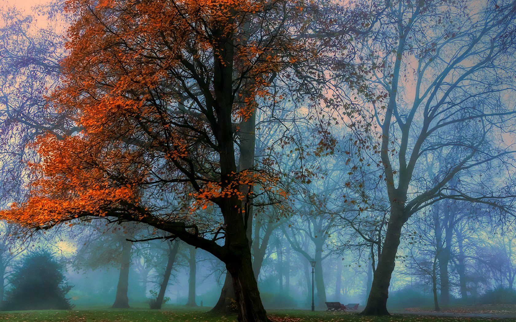 Обои деревья, парк, туман, осень, trees, park, fog, autumn разрешение 1920x1398 Загрузить