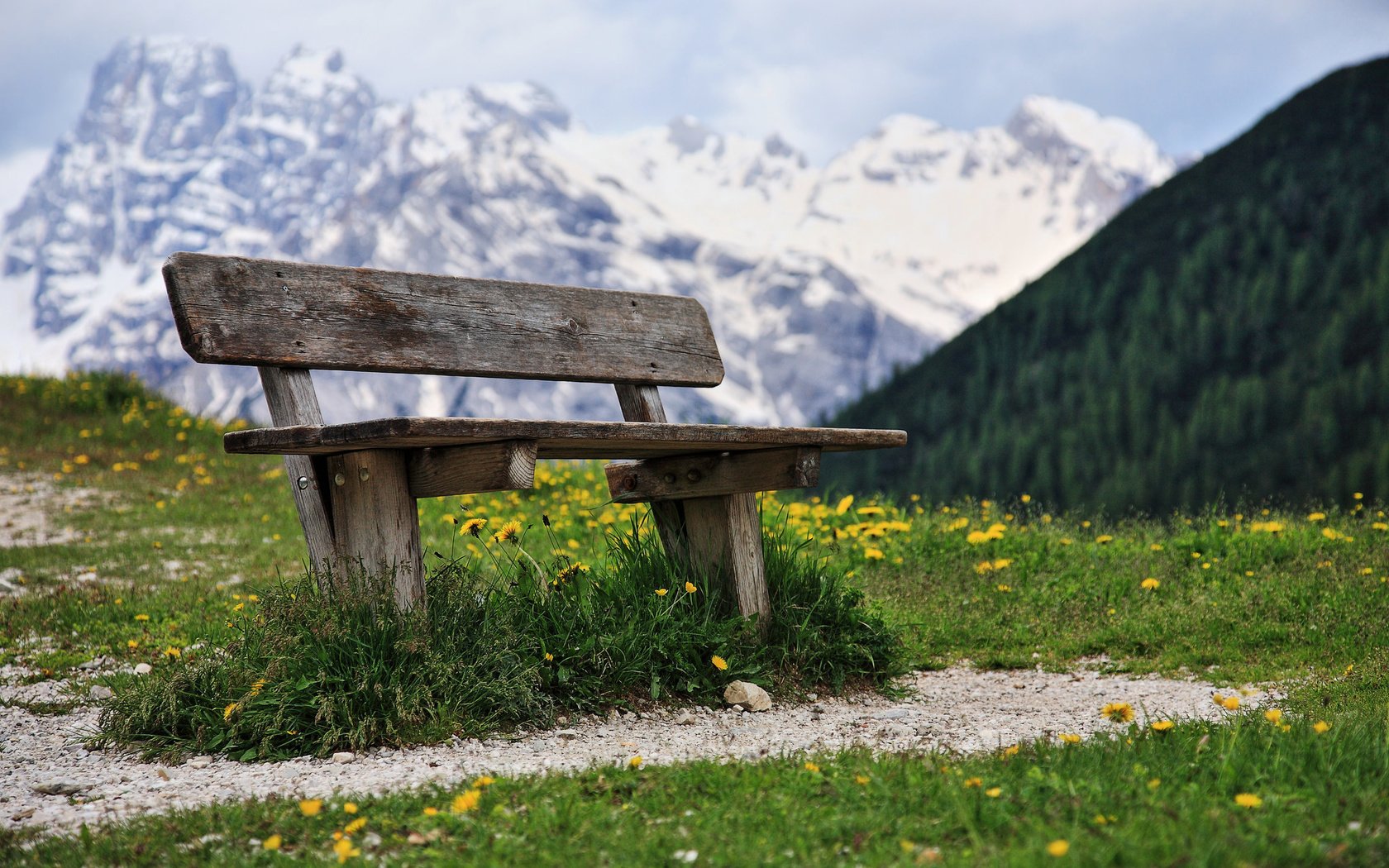 Обои цветы, природа, скамейка, flowers, nature, bench разрешение 2048x1365 Загрузить