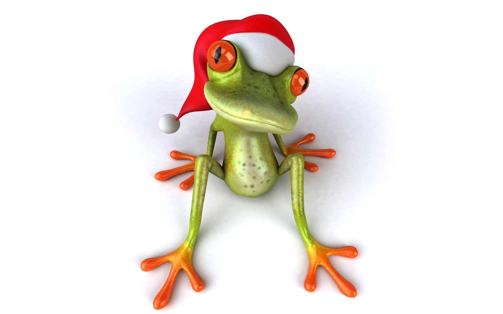 Обои глаза, лягушка, шапка, праздник, eyes, frog, hat, holiday разрешение 6000x4000 Загрузить