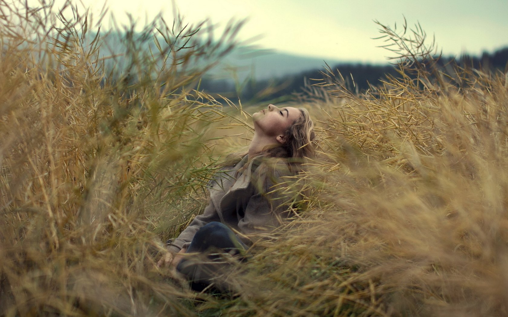 Обои трава, природа, девушка, настроение, поле, профиль, девушка.поле, grass, nature, girl, mood, field, profile, girl.field разрешение 1920x1280 Загрузить