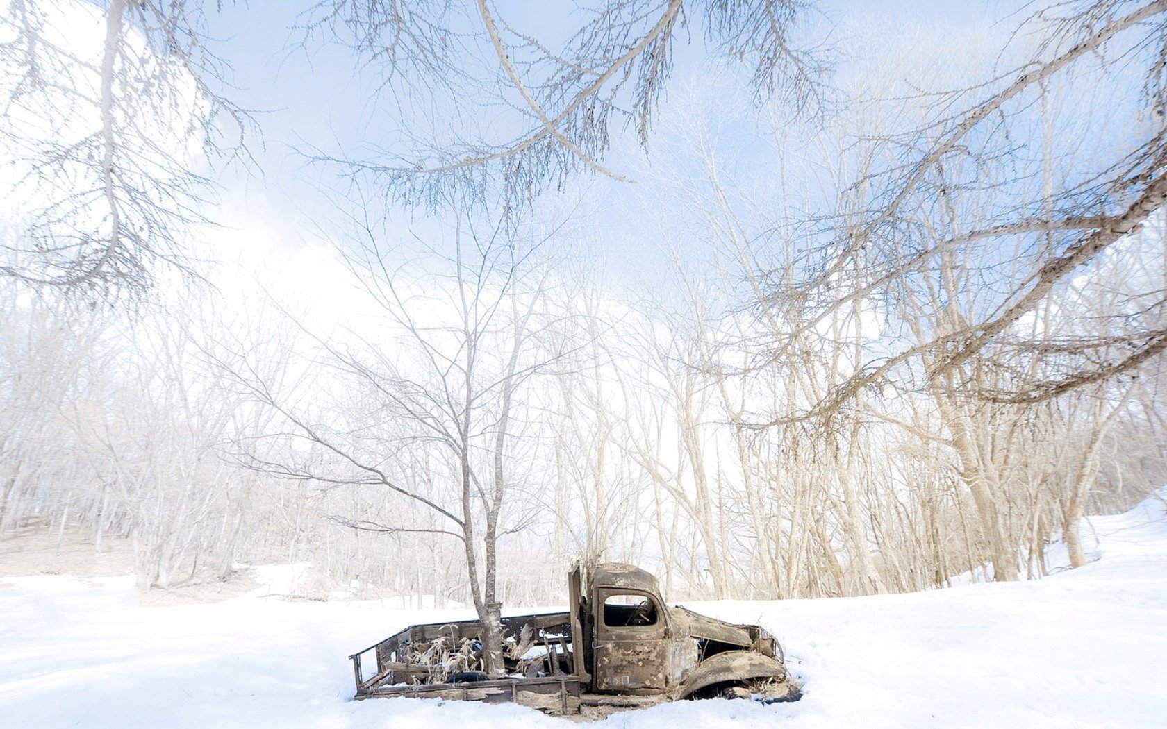 Обои деревья, снег, зима, машина, сугробы, грузовик, trees, snow, winter, machine, the snow, truck разрешение 1920x1080 Загрузить