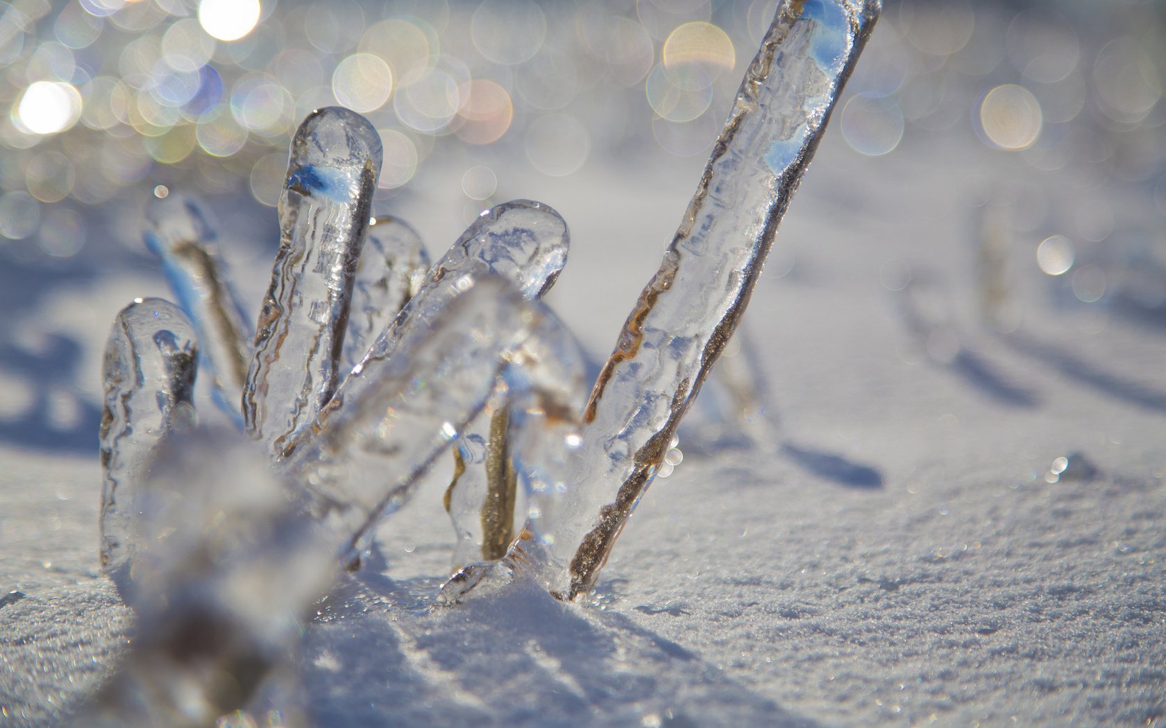 Обои снег, зима, макро, лёд, боке, snow, winter, macro, ice, bokeh разрешение 2048x1365 Загрузить