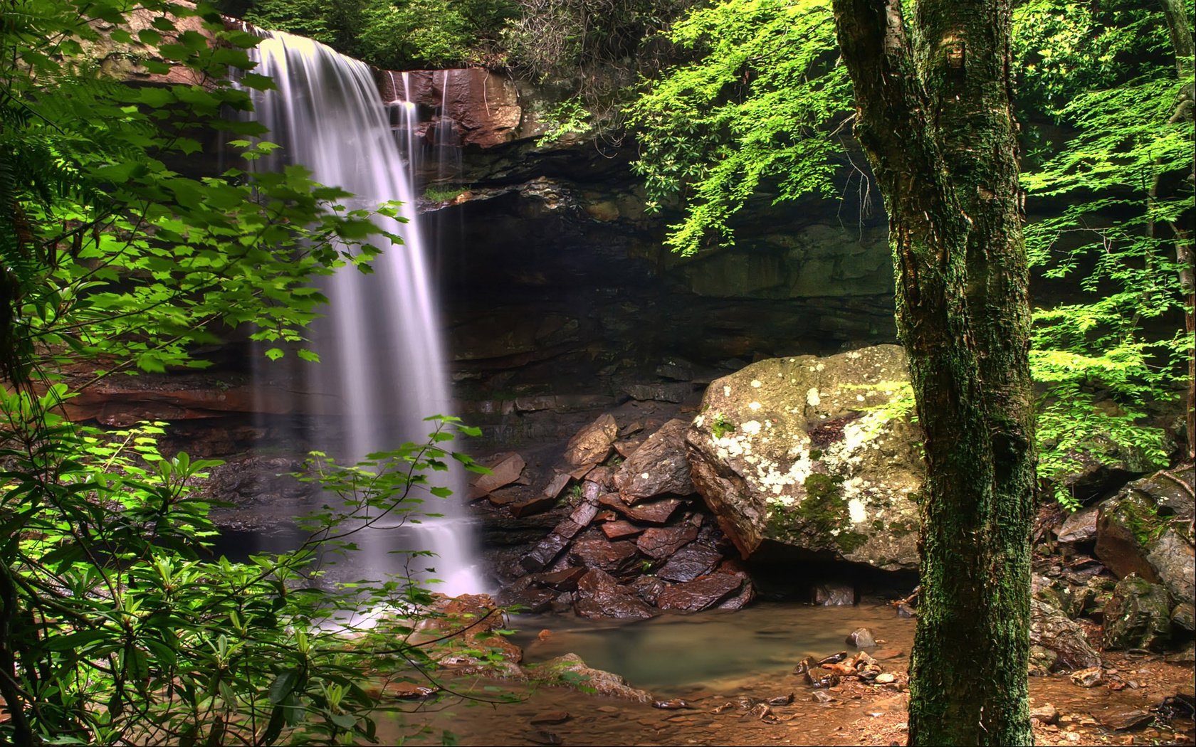 Обои деревья, вода, природа, камни, зелень, растения, водопад, trees, water, nature, stones, greens, plants, waterfall разрешение 1920x1200 Загрузить