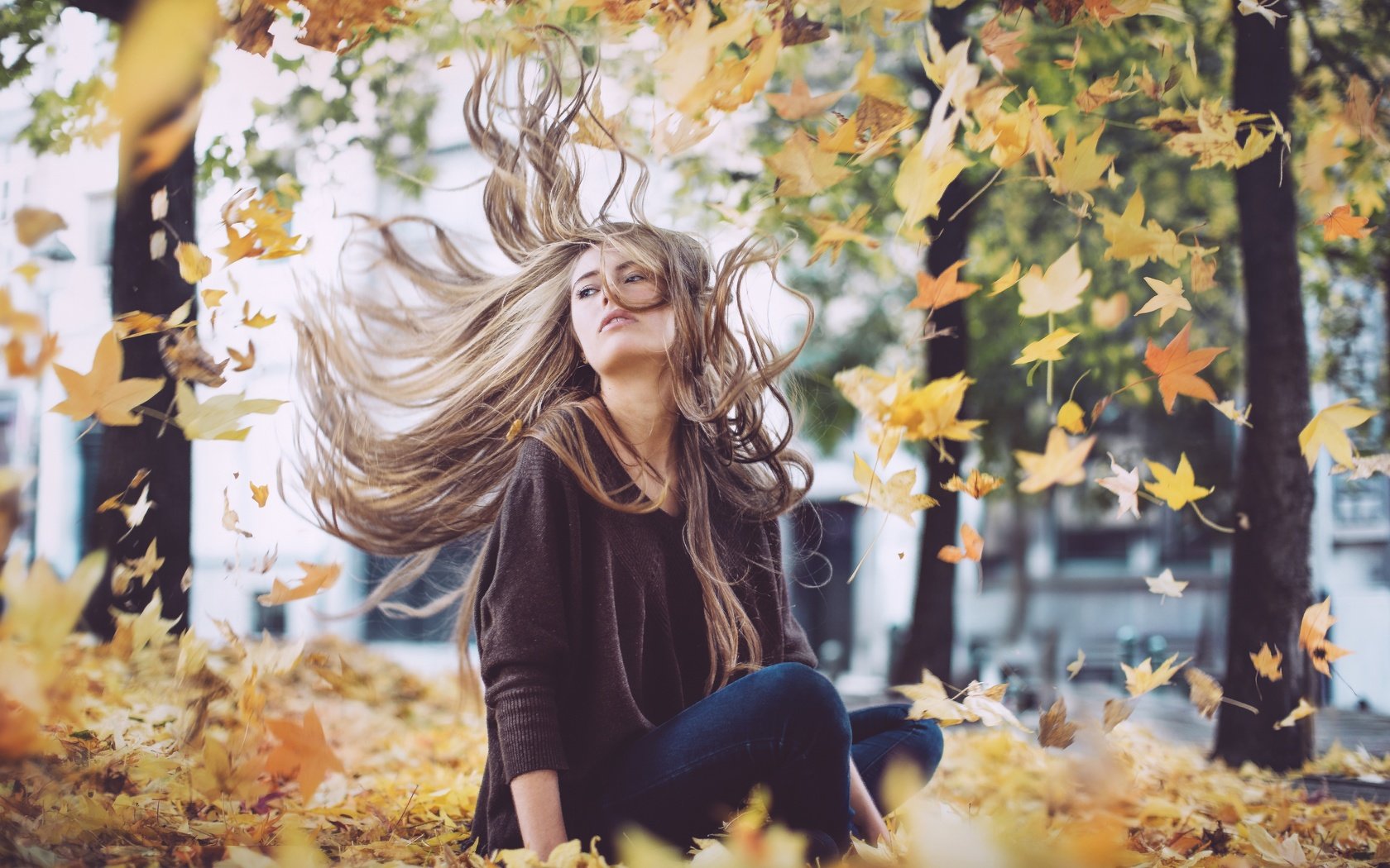 Обои листья, девушка, осень, волосы, дэвид olkarny, leaves, girl, autumn, hair, david olkarny разрешение 2880x1920 Загрузить