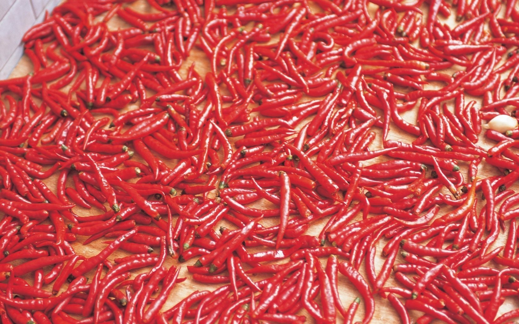 Обои фон, красный, овощи, чили, перец, жгучий, background, red, vegetables, chile, pepper, burning разрешение 1920x1285 Загрузить