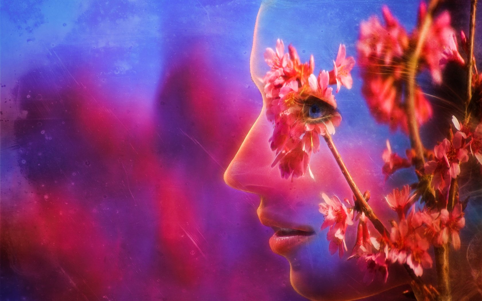 Обои цветы, ветка, абстракция, профиль, весна, лицо, flowers, branch, abstraction, profile, spring, face разрешение 2048x1365 Загрузить