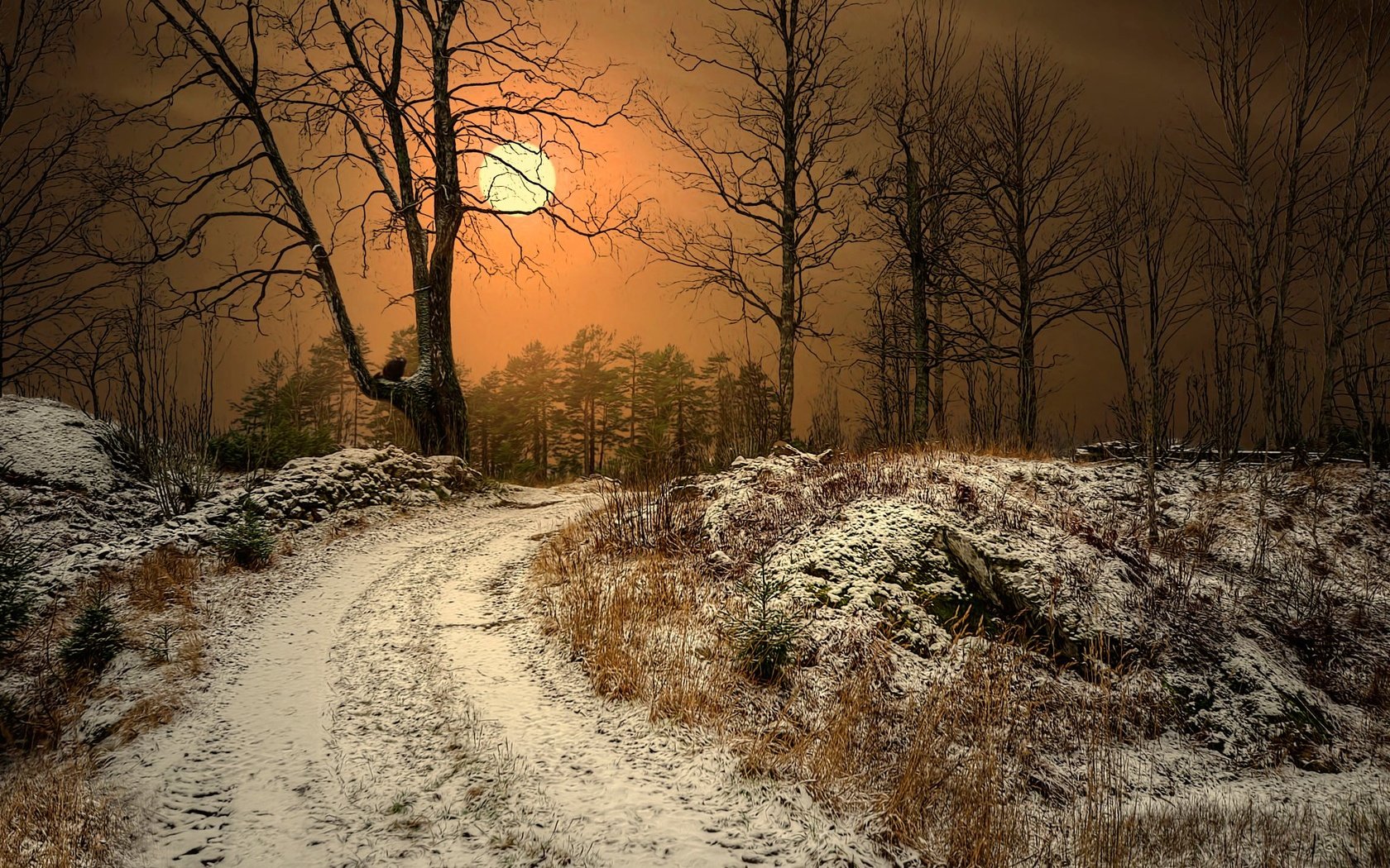 Обои природа, лес, закат, зима, туман, дорога. деревья, nature, forest, sunset, winter, fog, road. trees разрешение 2048x1353 Загрузить