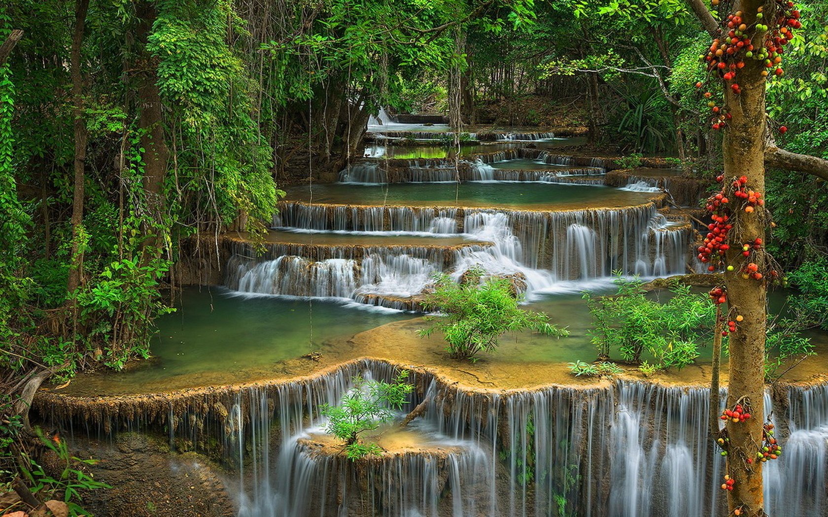 Обои зелень, лес, водопад, красота, поток, каскад, дремучий, greens, forest, waterfall, beauty, stream, cascade, dense разрешение 1920x1200 Загрузить