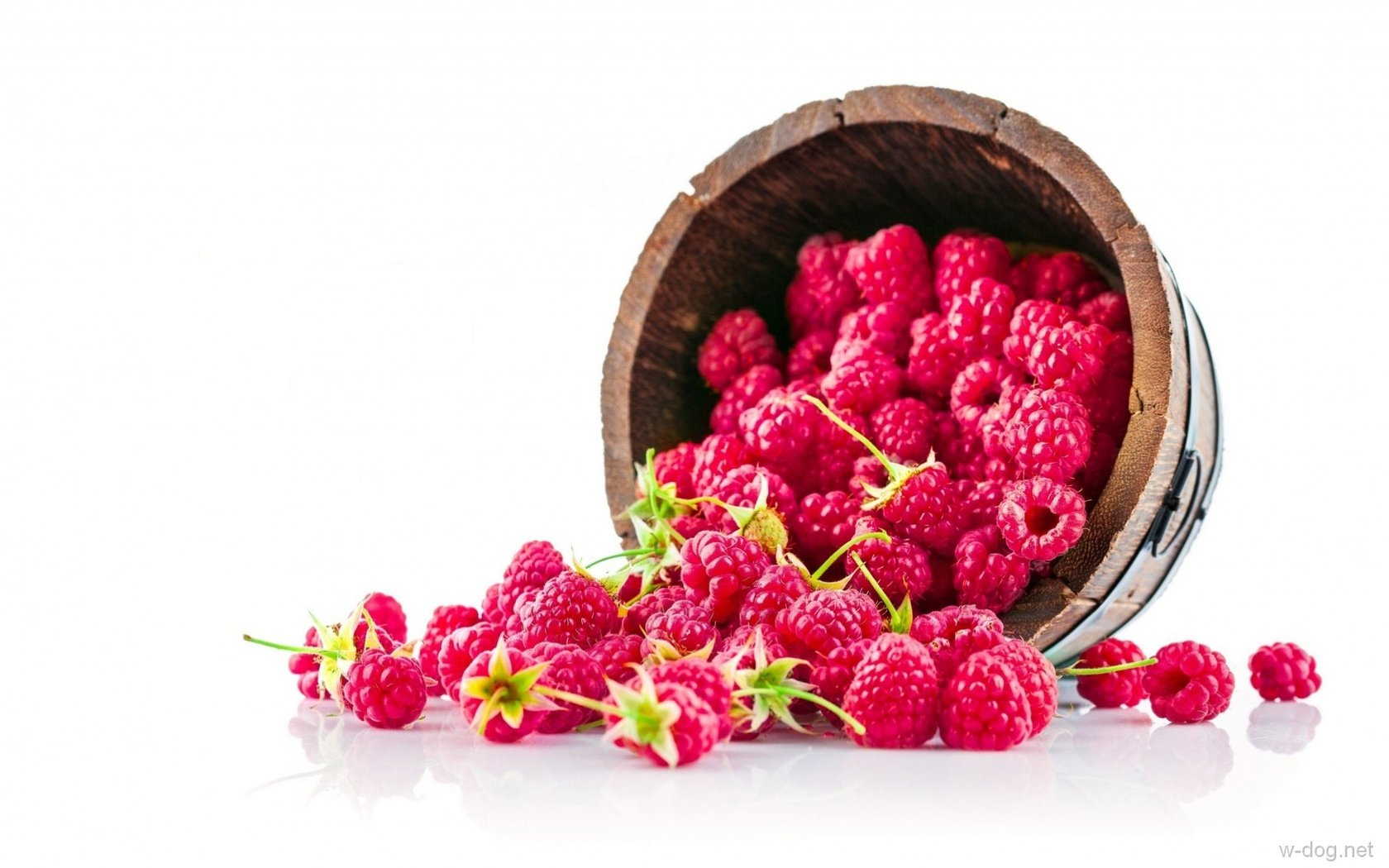 Обои малина, ягоды, белый фон, ведерко, raspberry, berries, white background, bucket разрешение 1920x1199 Загрузить