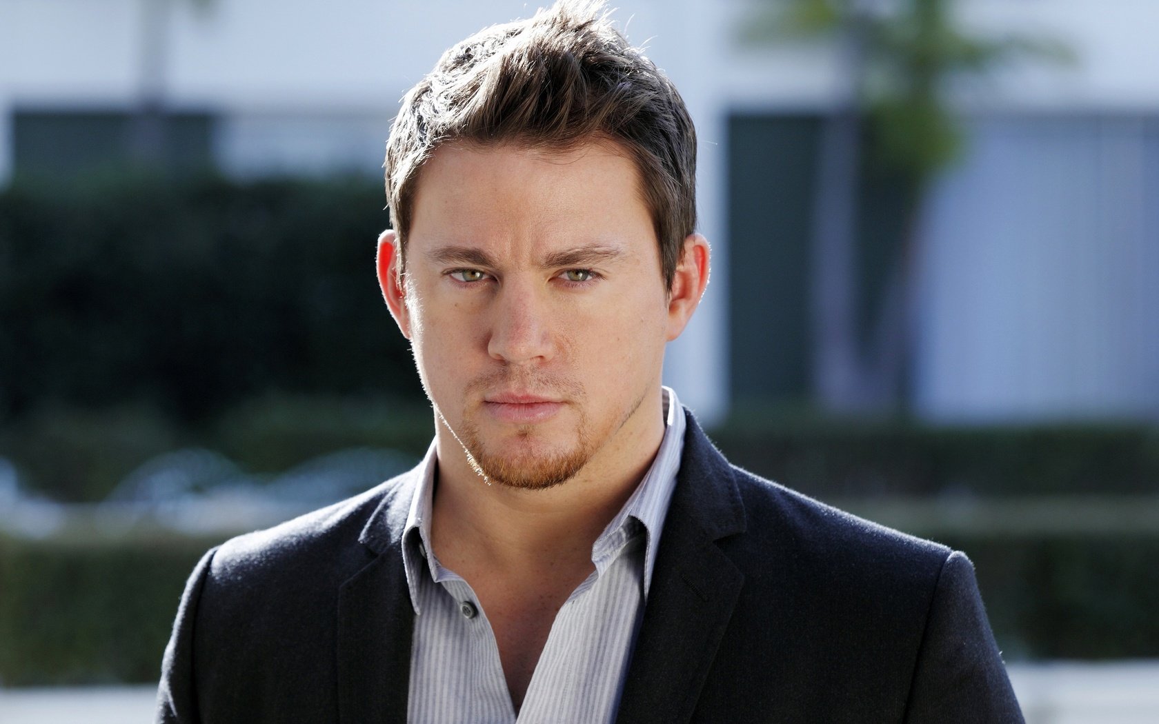 Обои взгляд, актёр, лицо, мужчина, ченнинг татум, look, actor, face, male, channing tatum разрешение 2880x1800 Загрузить