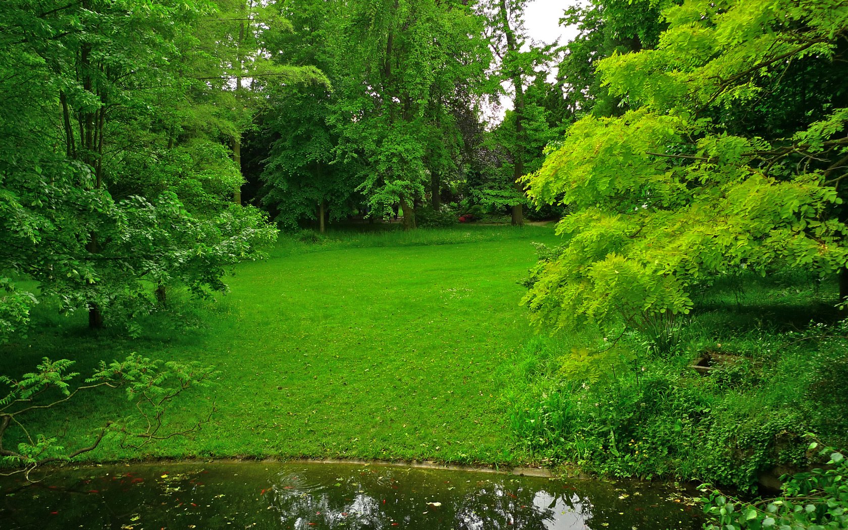 Обои трава, деревья, зелень, парк, пруд, франция, лужайка, albert-kahn japanese gardens, grass, trees, greens, park, pond, france, lawn разрешение 2592x1944 Загрузить