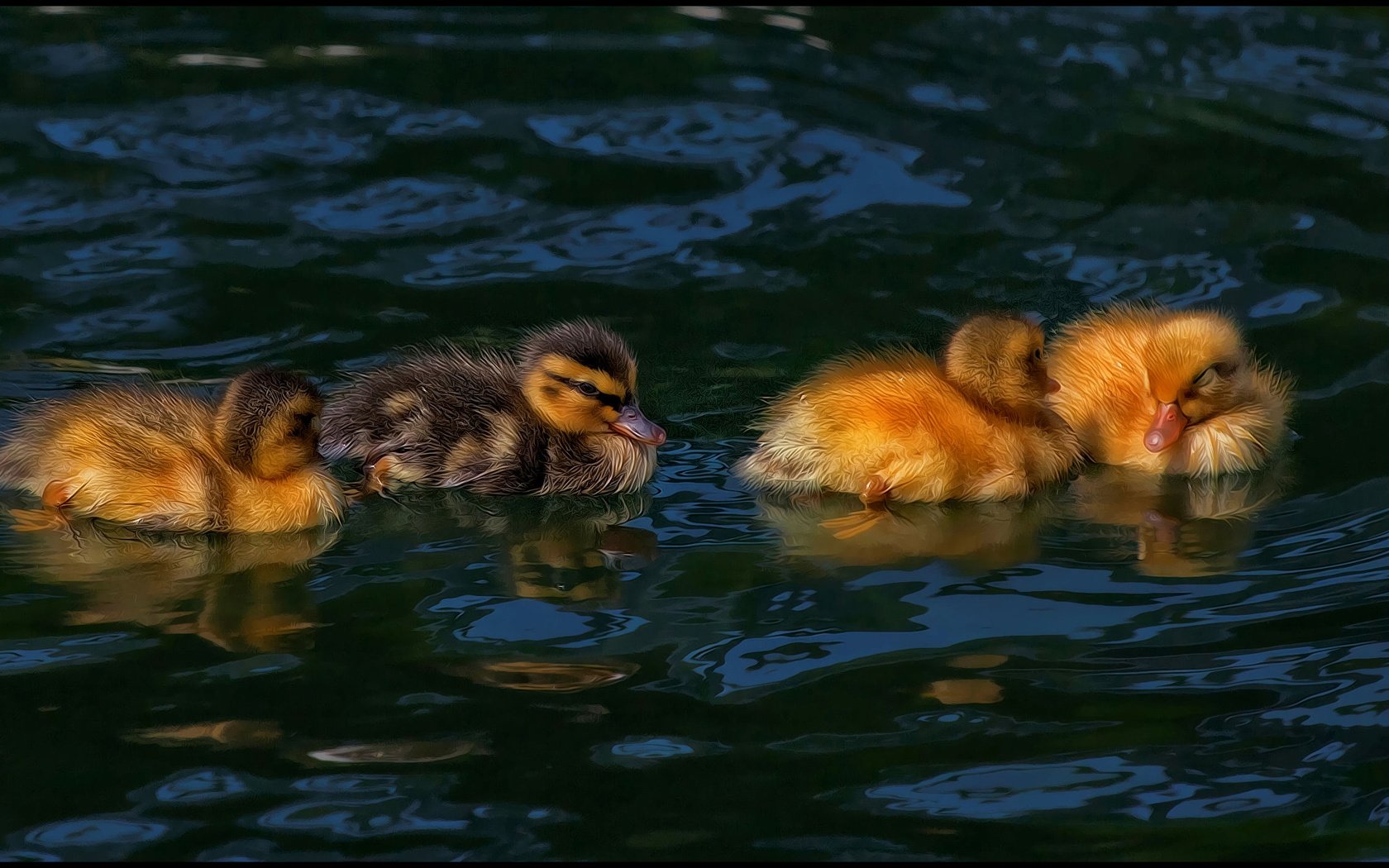 Обои водоем, птицы, утята, утки, птенцы, pond, birds, ducklings, duck, chicks разрешение 2744x1427 Загрузить