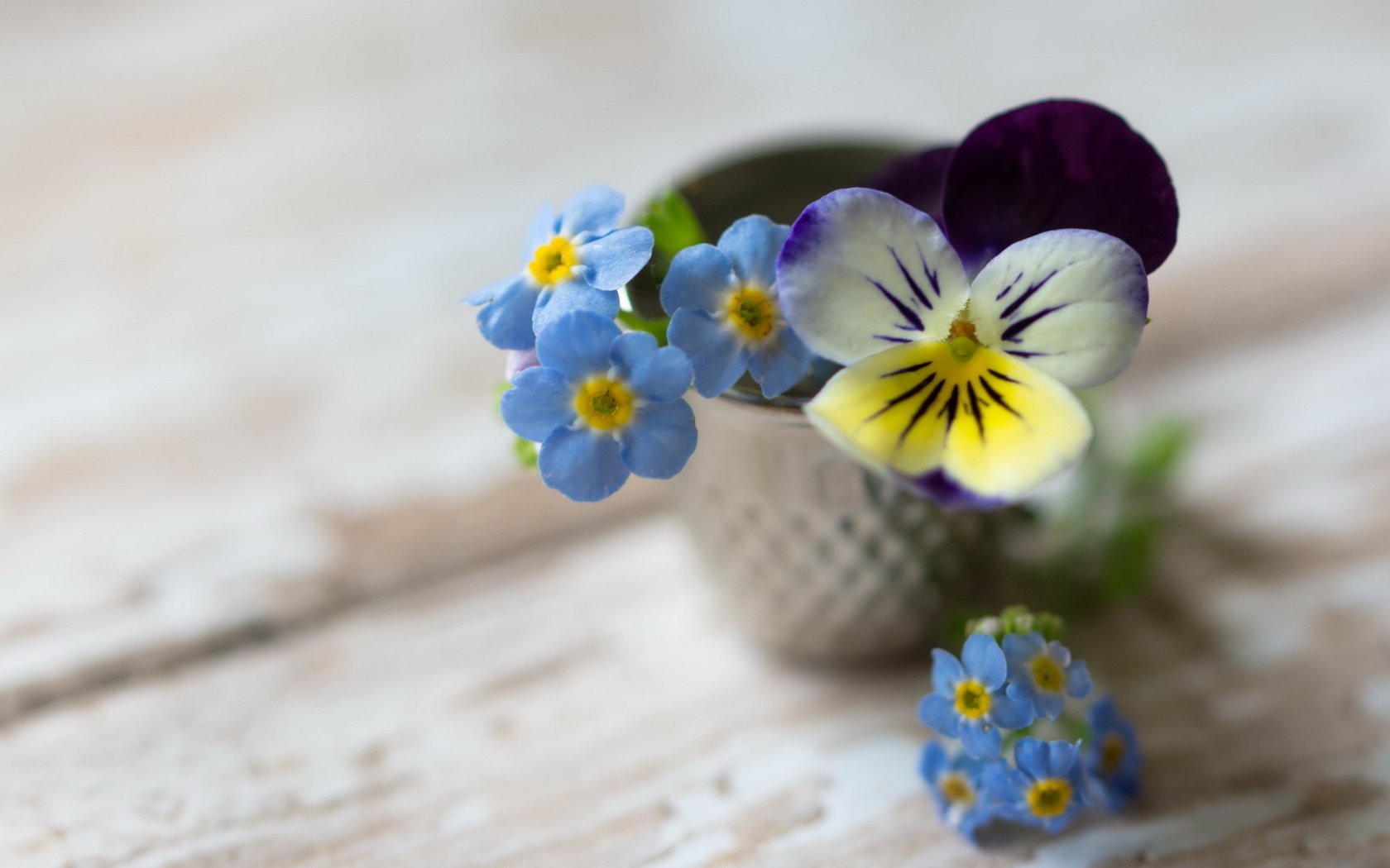 Обои цветы, фон, букет, незабудки, анютины глазки, flowers, background, bouquet, forget-me-nots, pansy разрешение 2560x1600 Загрузить