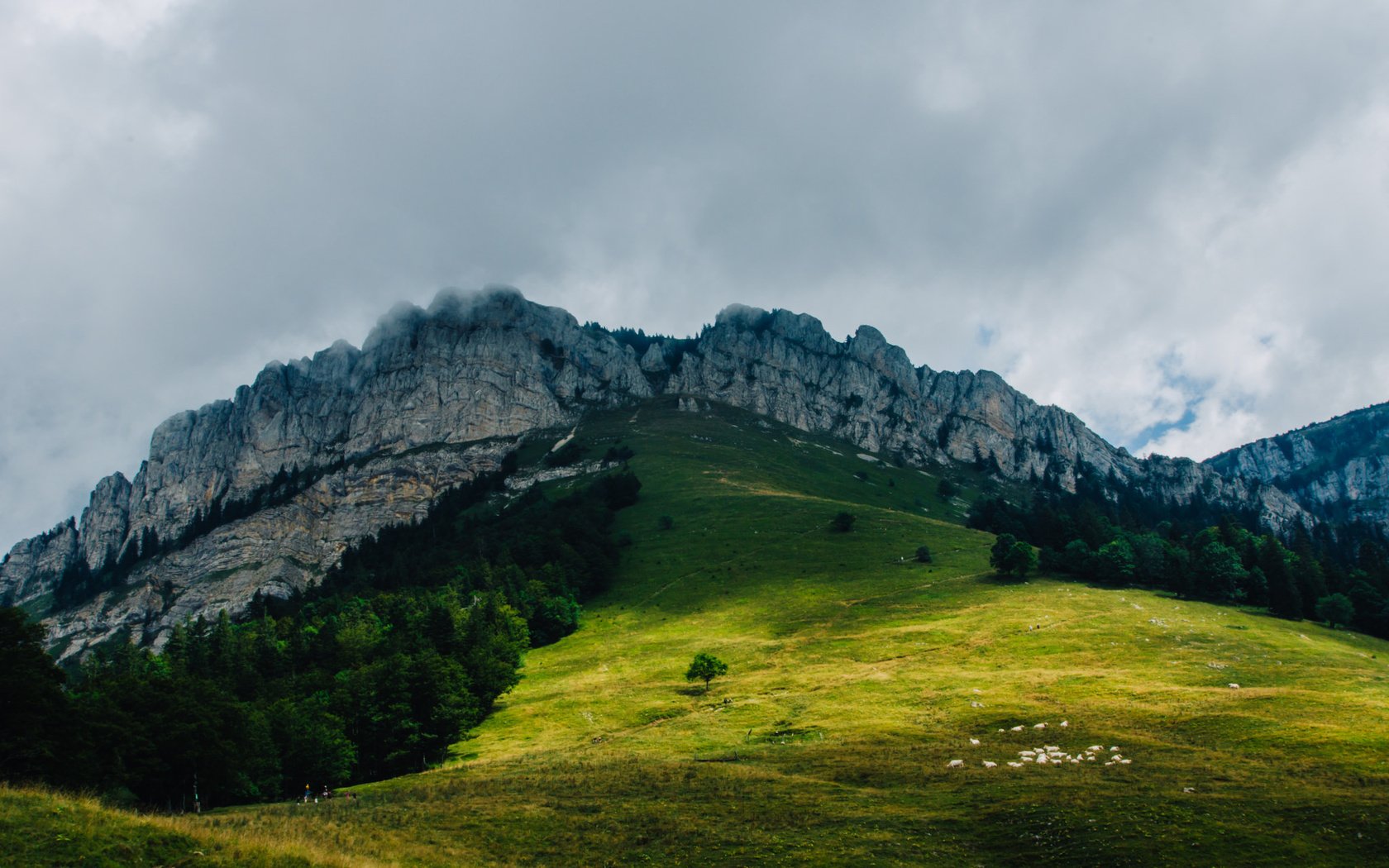 Обои деревья, горы, холмы, природа, trees, mountains, hills, nature разрешение 2048x1362 Загрузить