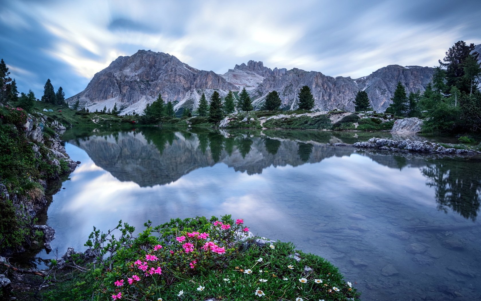 Обои цветы, озеро, горы, пейзаж, flowers, lake, mountains, landscape разрешение 1920x1200 Загрузить