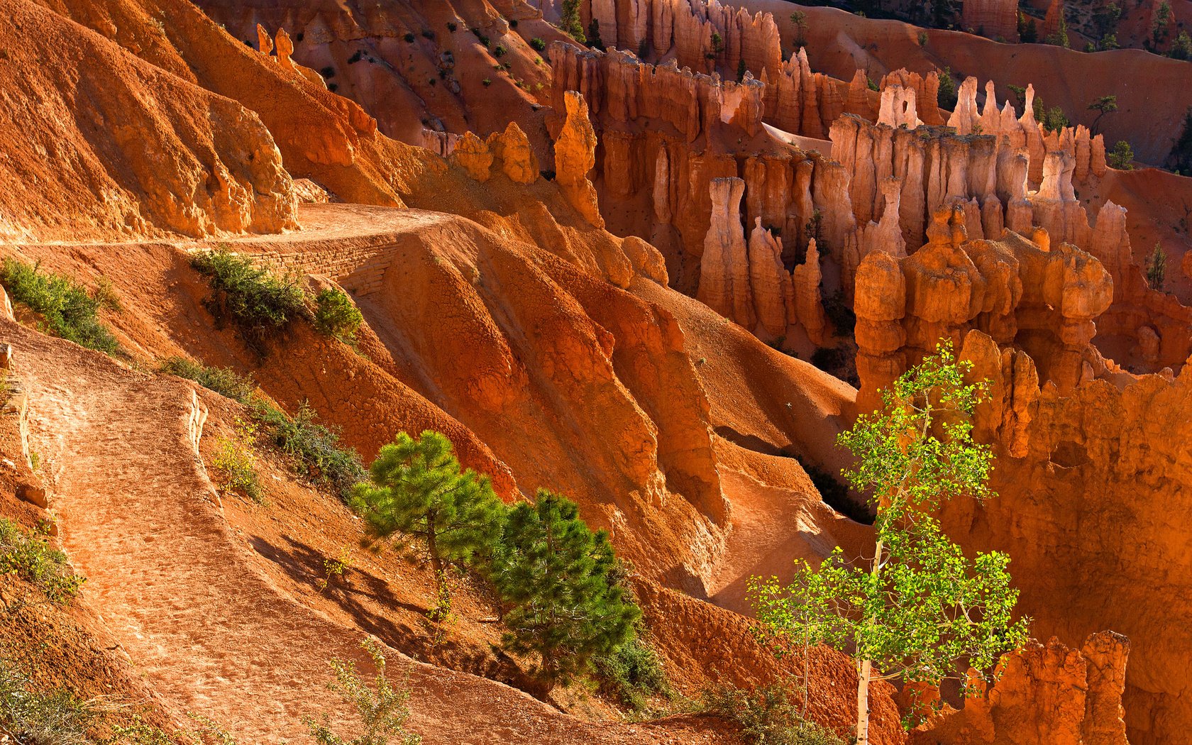 Обои деревья, горы, скалы, камни, каньон, trees, mountains, rocks, stones, canyon разрешение 2048x1365 Загрузить