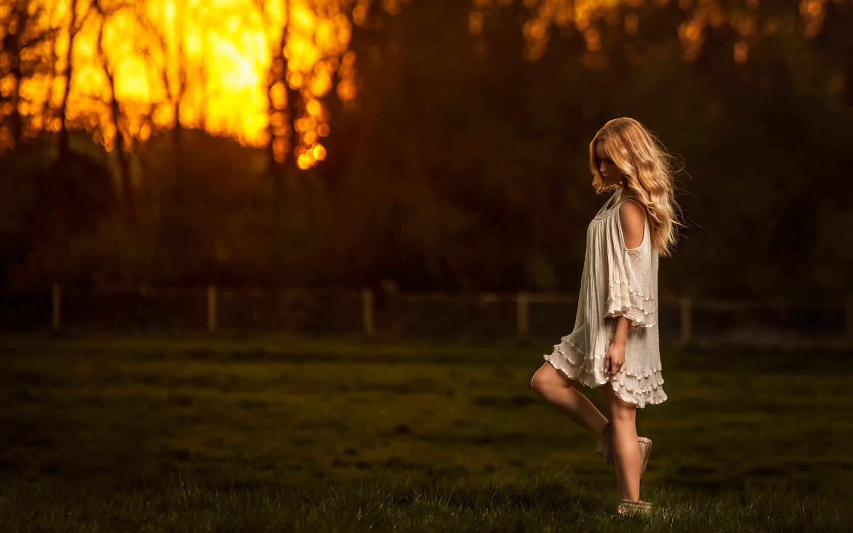 Обои небо, трава, природа, закат, девушка, блондинка, поле, the sky, grass, nature, sunset, girl, blonde, field разрешение 2048x1365 Загрузить