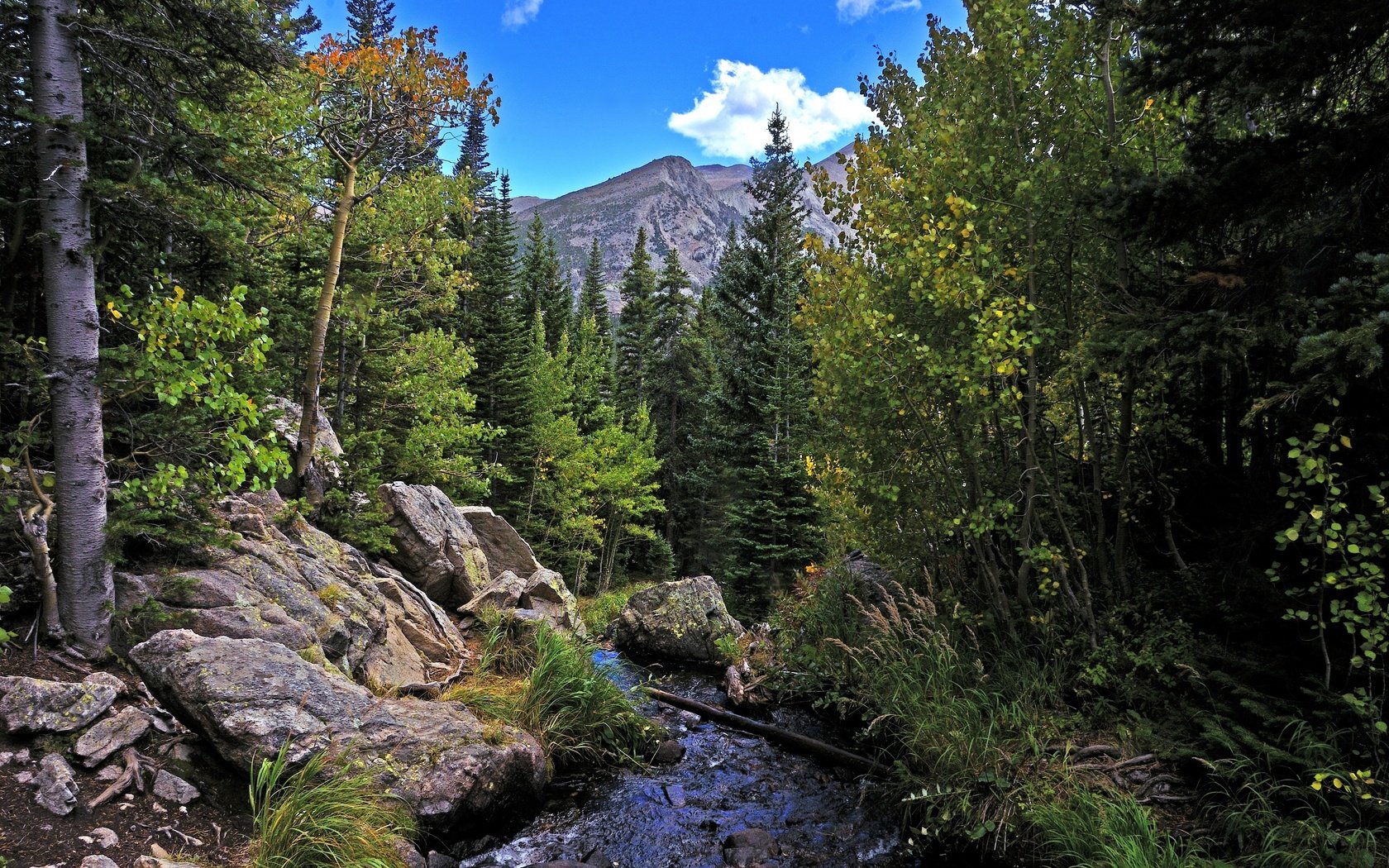 Обои деревья, река, горы, скалы, лес, пейзаж, осень, rocky mountain national park, trees, river, mountains, rocks, forest, landscape, autumn разрешение 2880x1908 Загрузить